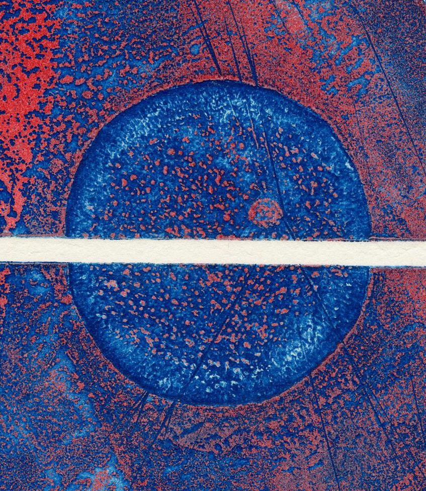 Untitled (Plate 2) - Abstract Print by Terry Haass