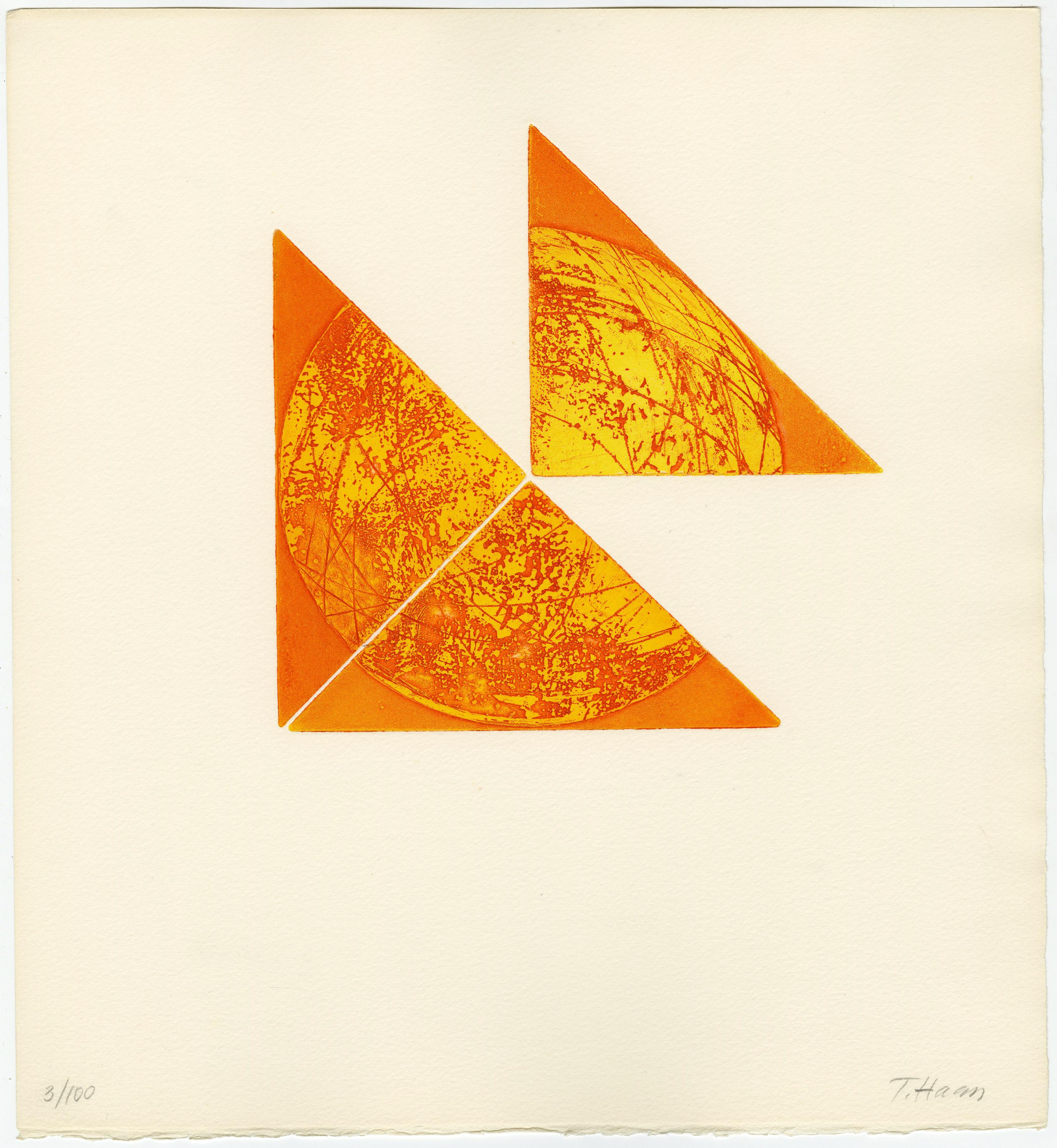 Terry Haass Abstract Print - Untitled (Plate 3)
