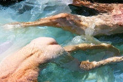 Dauphins, photographie, jet d'encre d'archivage