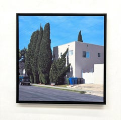 L'Accolito