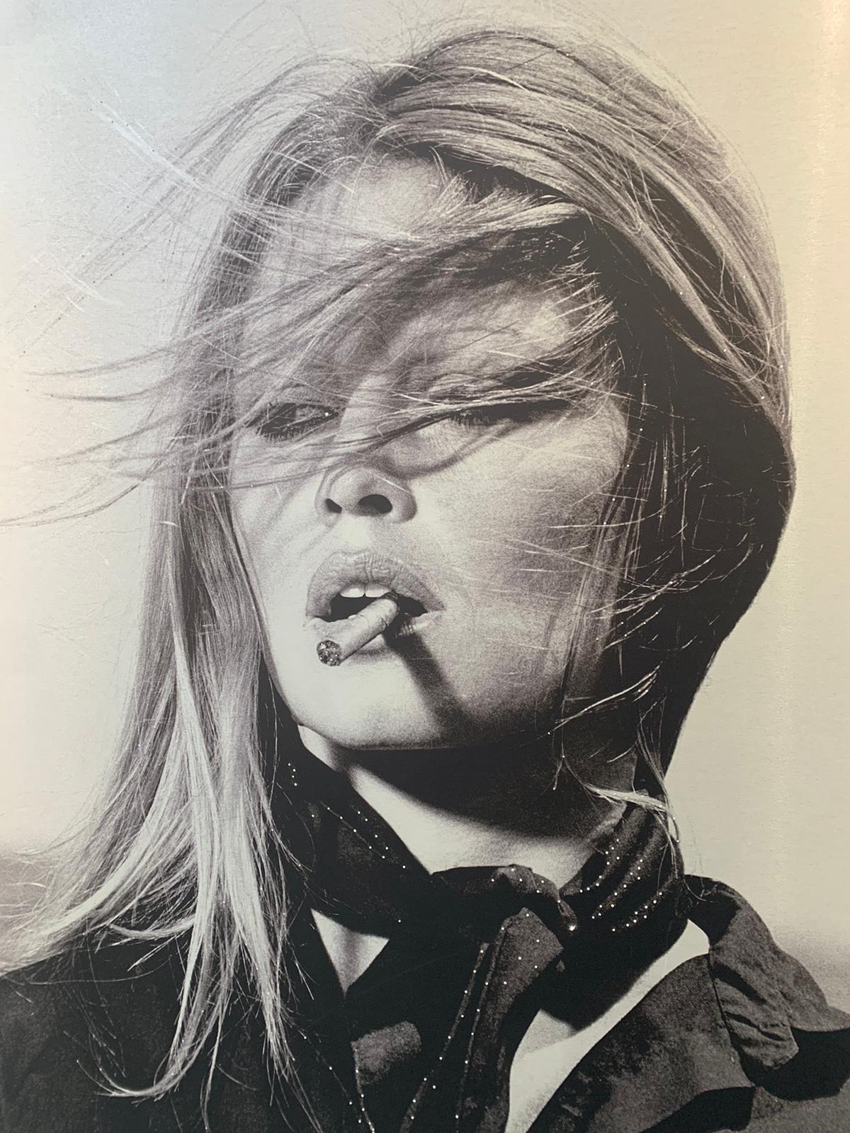 The Diamond Bardot - Mixed Media Art by Terry O'Neill