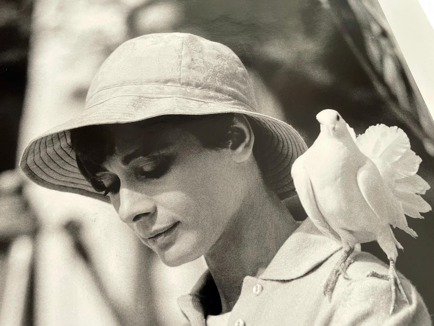 Audrey Hepburn b/w Fotografie LIFETIME Siebdruck Silbergelatine mit Siebdruck (Zeitgenössisch), Photograph, von Terry O'Neill