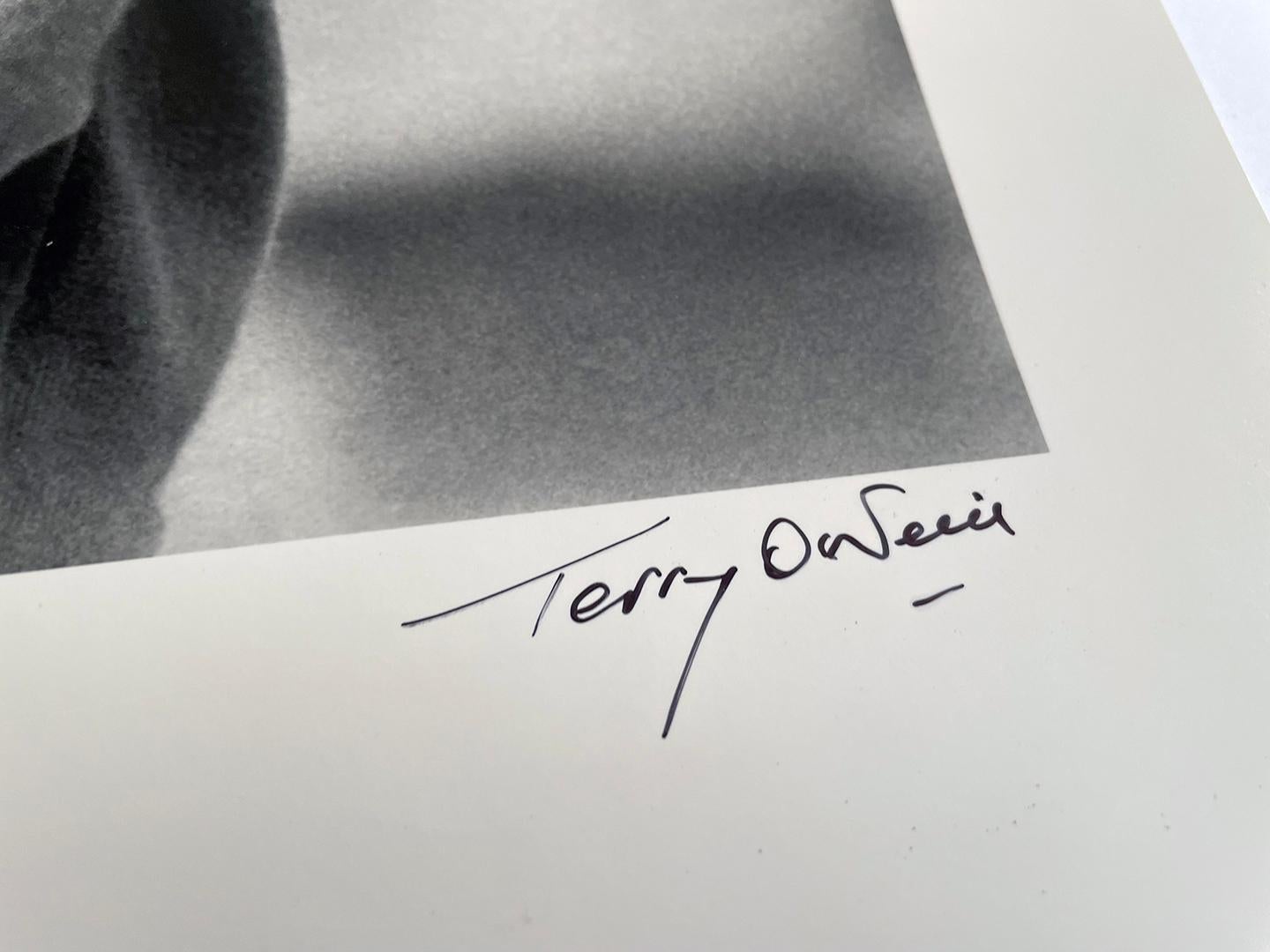 Terry O'Neill CBE ist einer der meistgesammelten Fotografen der Welt, dessen Werke in nationalen Kunstgalerien und Privatsammlungen weltweit hängen. Von Präsidenten bis hin zu Popstars fotografierte er über sechs Jahrzehnte lang an der Front des