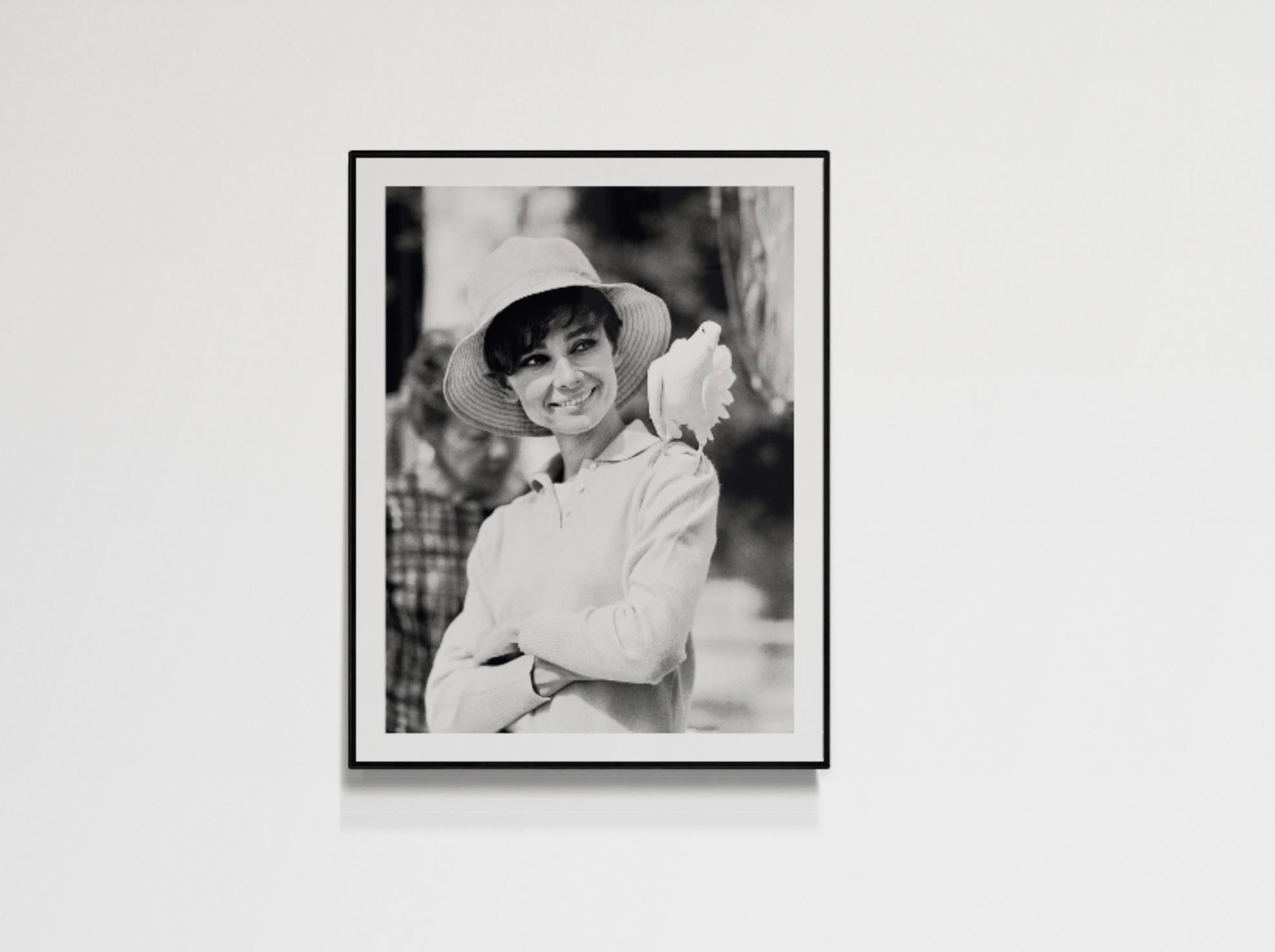 Audrey Hepburn Taube, 1966, Am Set von 'Two for the Road', Signiert – Photograph von Terry O'Neill