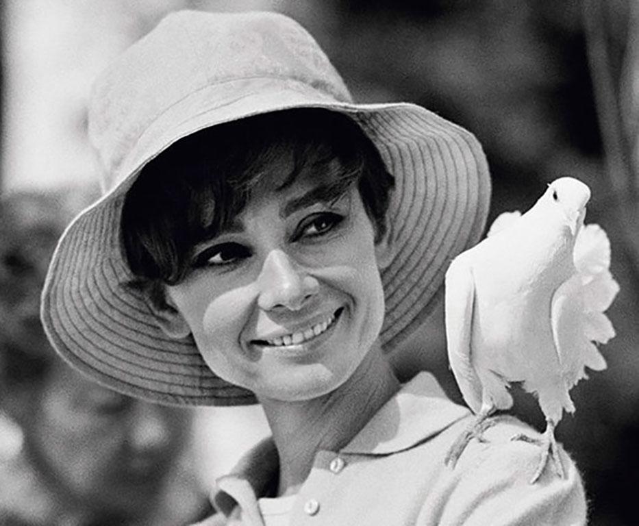 Audrey Hepburn Taube, 1966, Am Set von 'Two for the Road', Signiert (Grau), Black and White Photograph, von Terry O'Neill