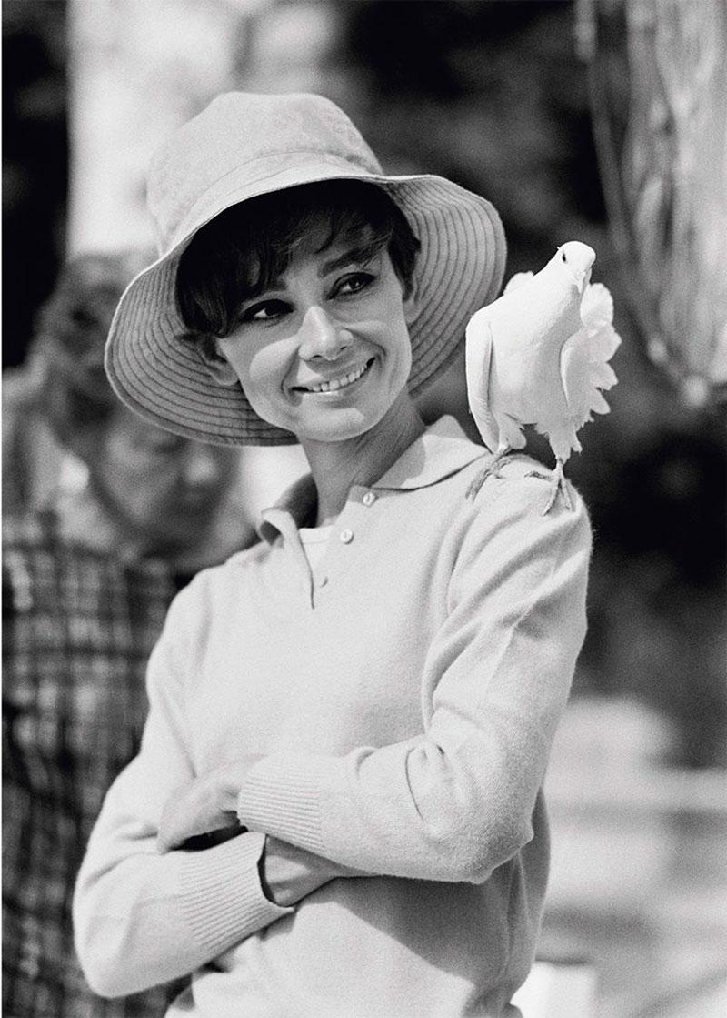 Terry O'Neill Black and White Photograph – Audrey Hepburn Taube, 1966, Am Set von 'Two for the Road', Signiert