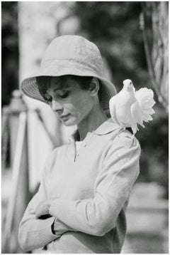 Audrey Hepburn Dove