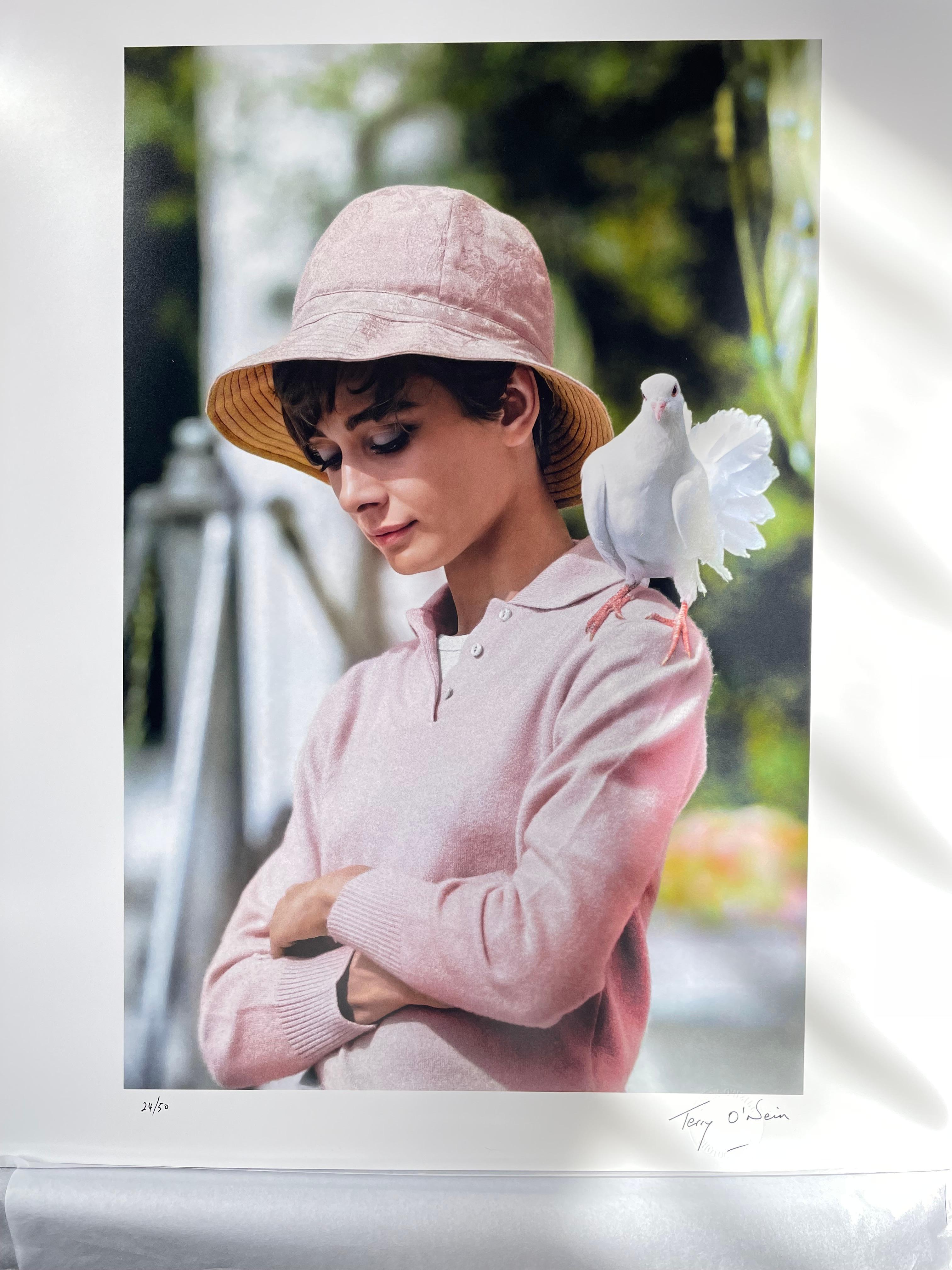 Audrey Hepburn avec colombe, 1966 - Gris Portrait Photograph par Terry O'Neill