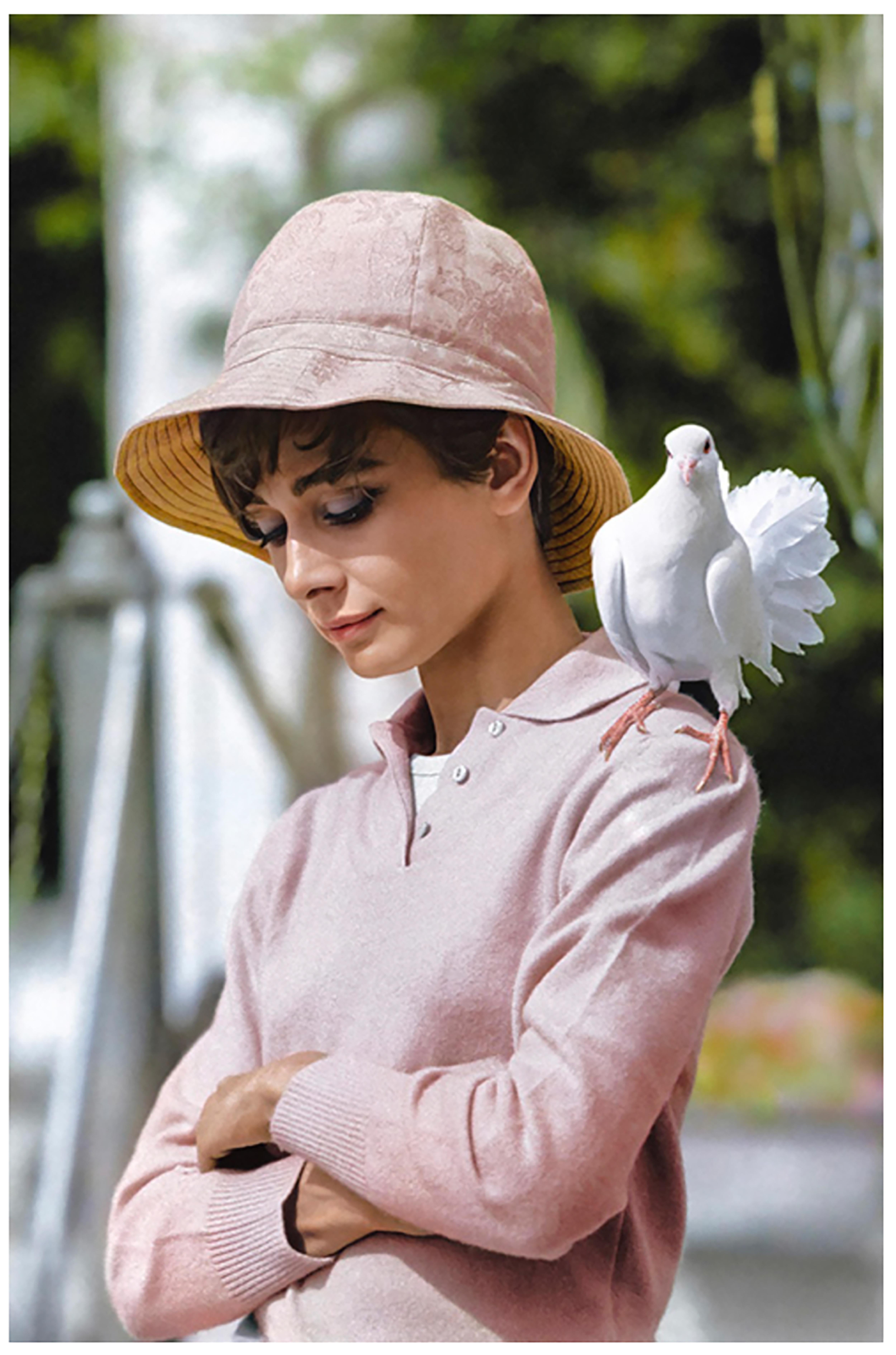 Terry O'Neill Color Photograph – Audrey Hepburn mit Taube, 1966 