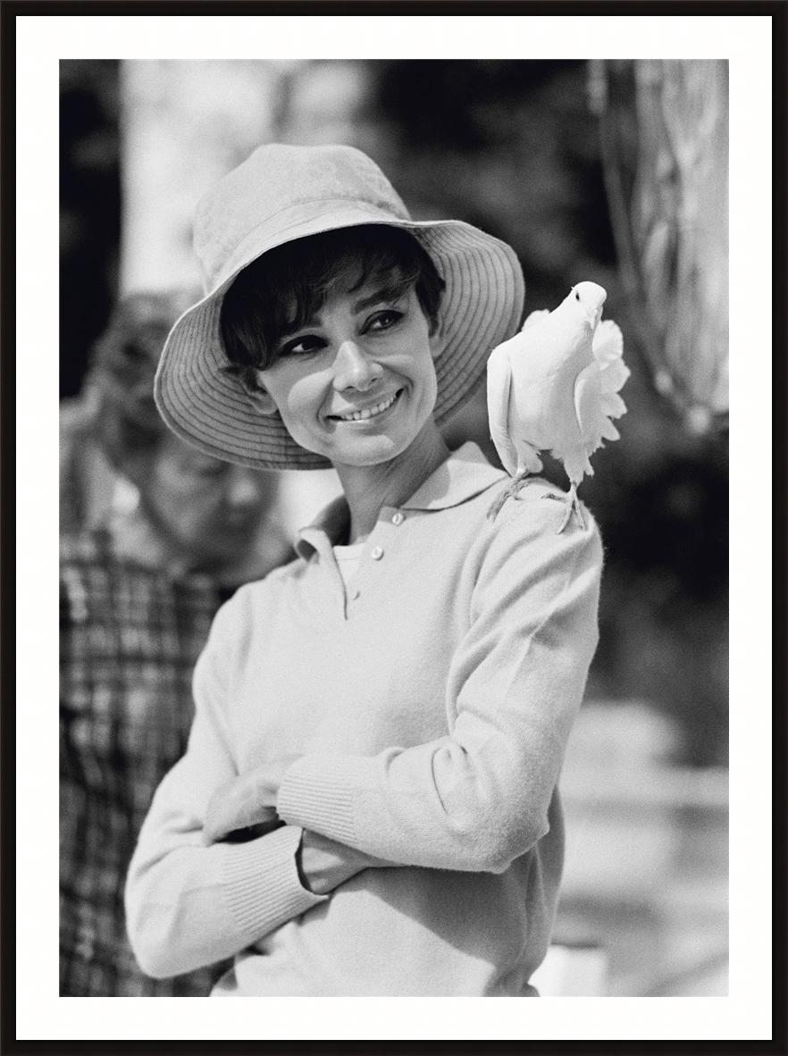 Audrey Hepburn mit Taube (Signiert) – Photograph von Terry O'Neill