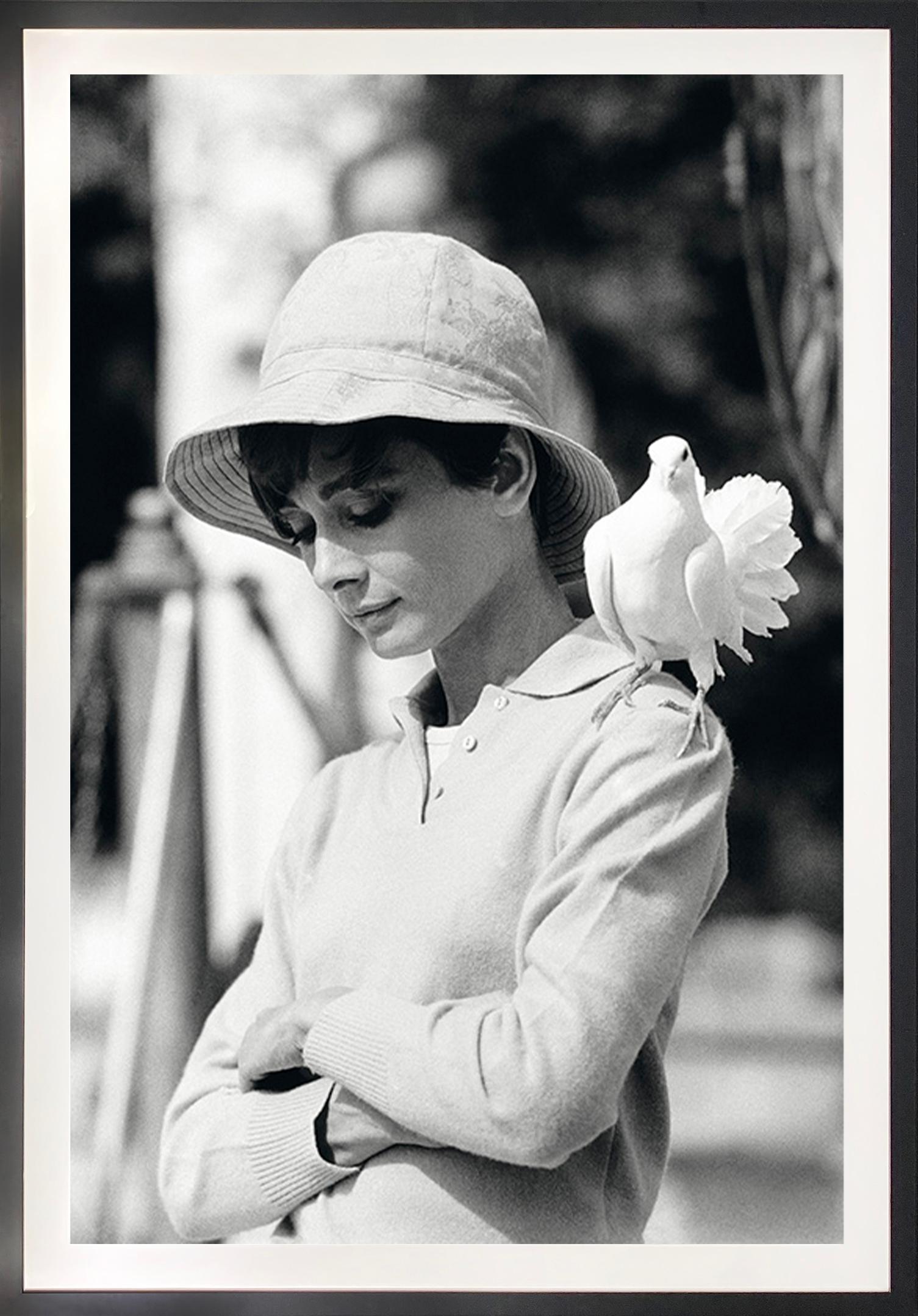 Audrey Hepburn With Dove, South of France - Photograph by Terry O'Neill