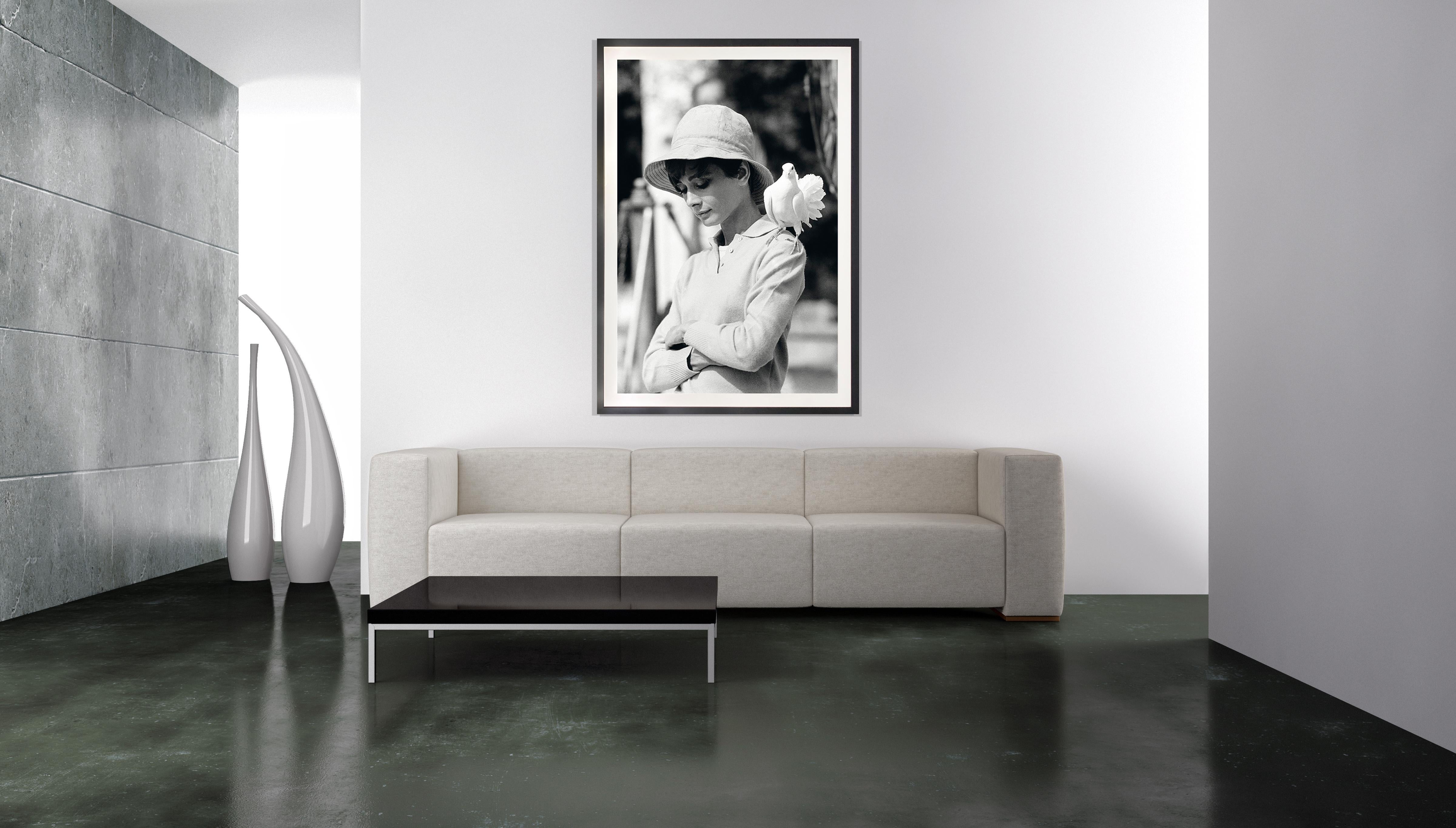 Audrey Hepburn mit Taube, Südfrankreich (Grau), Portrait Photograph, von Terry O'Neill