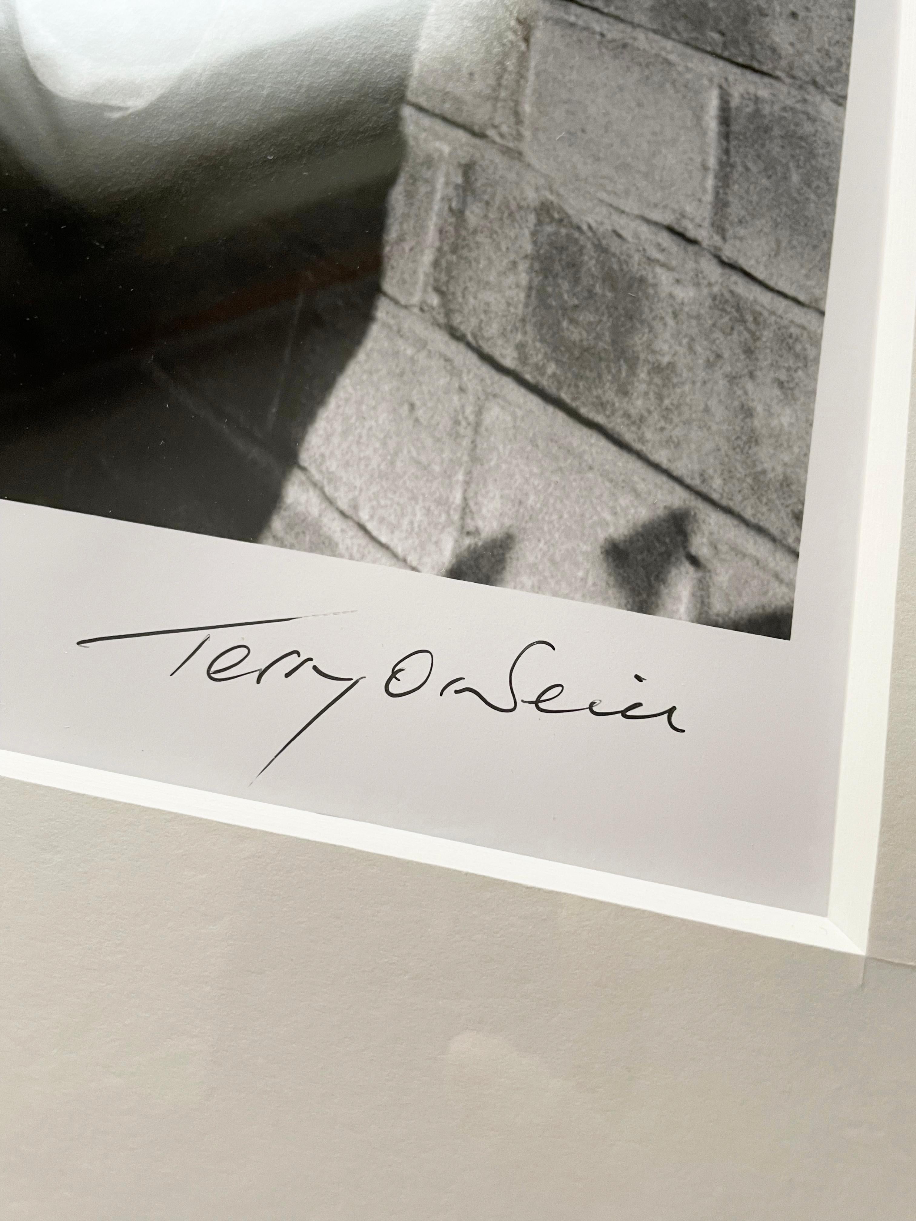 Paper size : 24 x 20 inches, Image size : 23 x 15 inches. Lifetime silver gelatin print
No 49/50 signed lower right margin.

Terry O’Neill CBE is one of the world’s most collected photographers, with work hanging in national art galleries and