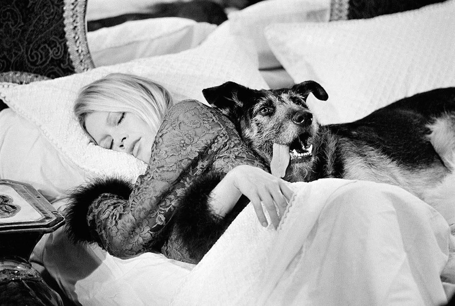 Terry O'Neill Portrait Photograph – Bardot mit Hund, auf Set von Les Novices (12 x 16)