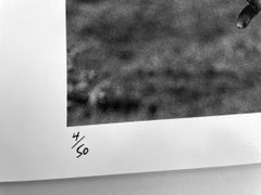 Brigitte Bardot  b/w silver gelatin photograph on paper