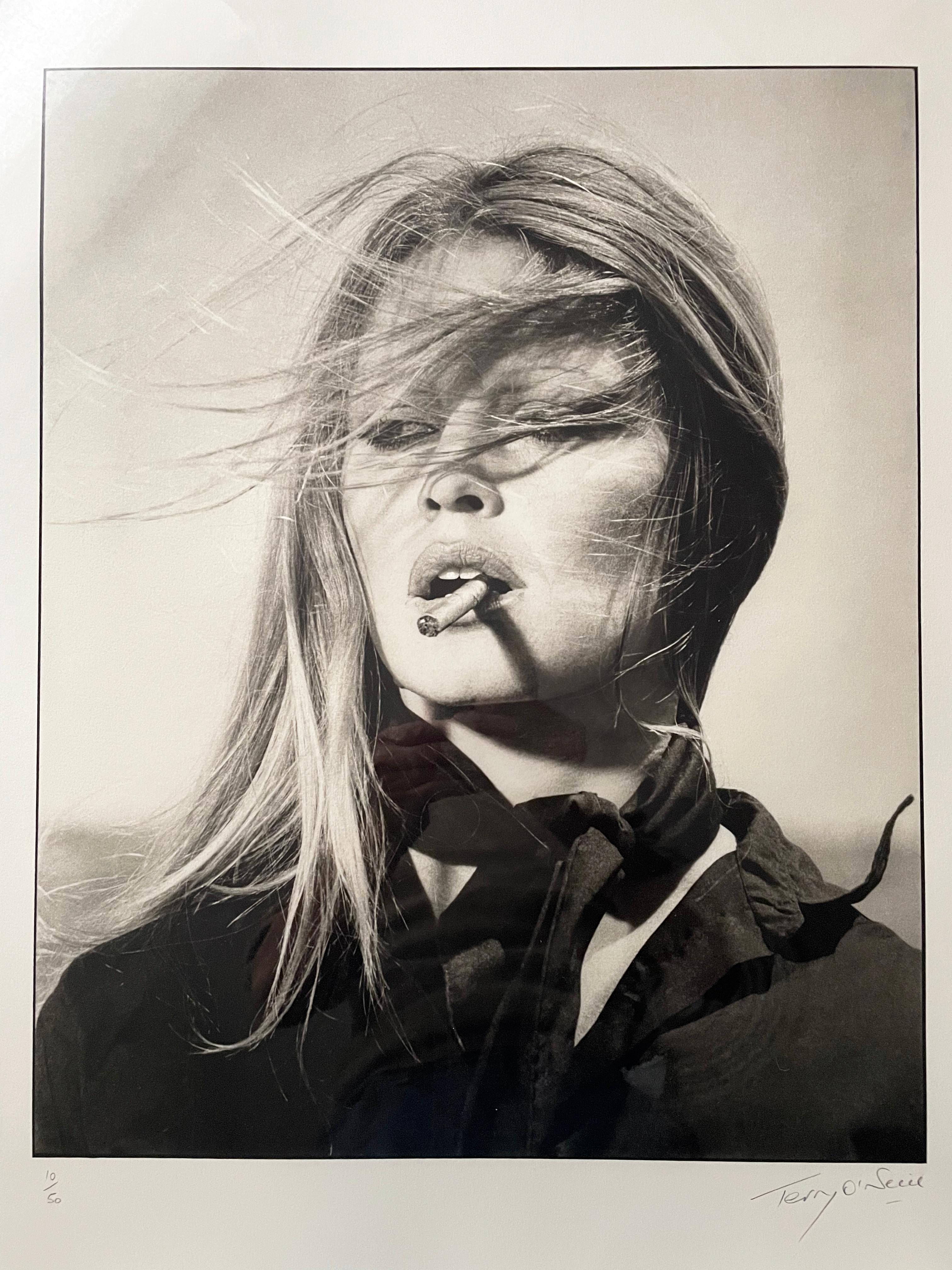 Brigitte Bardot PLATINUM PRINT im Angebot 5