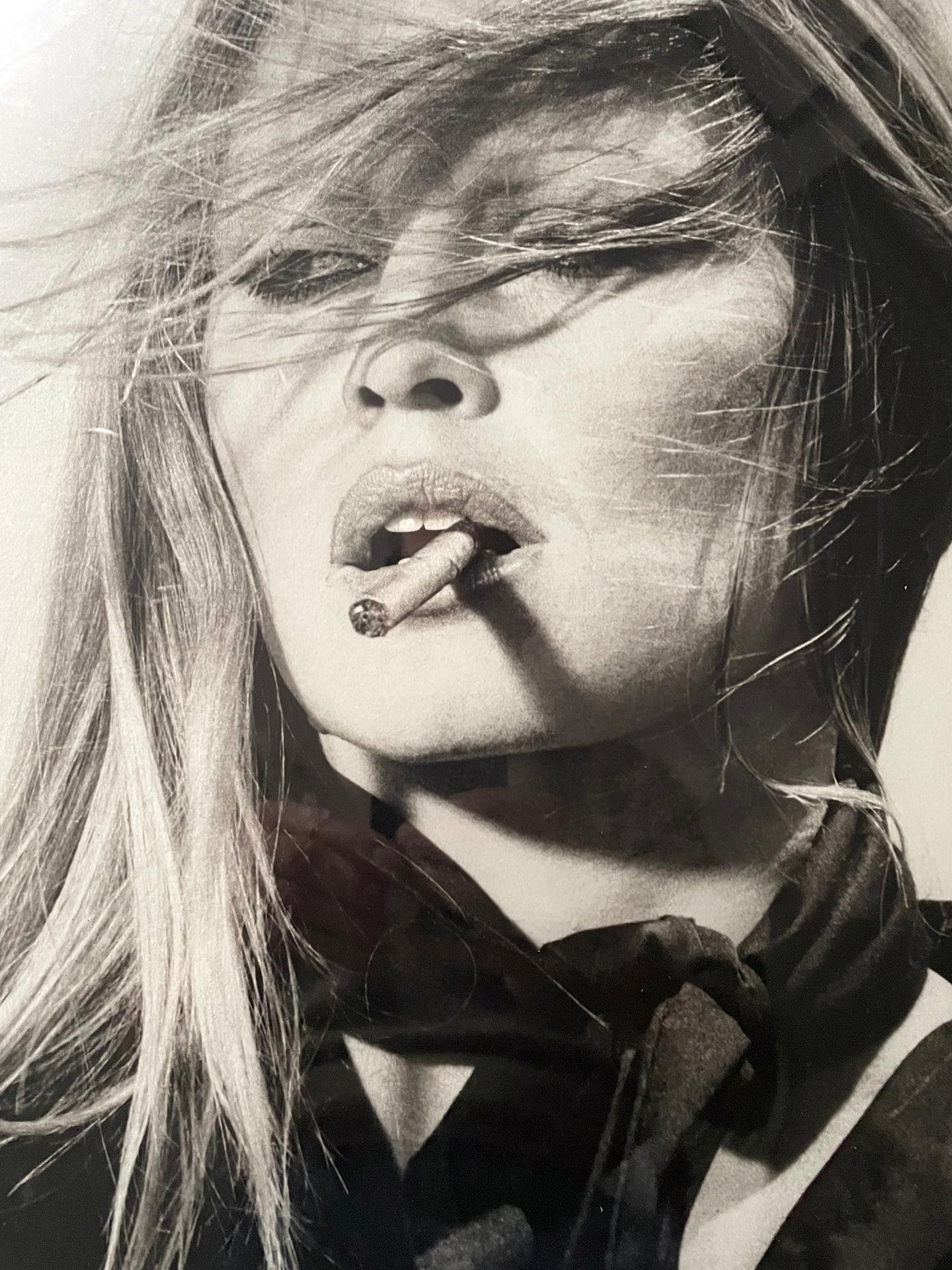 Brigitte Bardot PLATINUM PRINT im Angebot 2