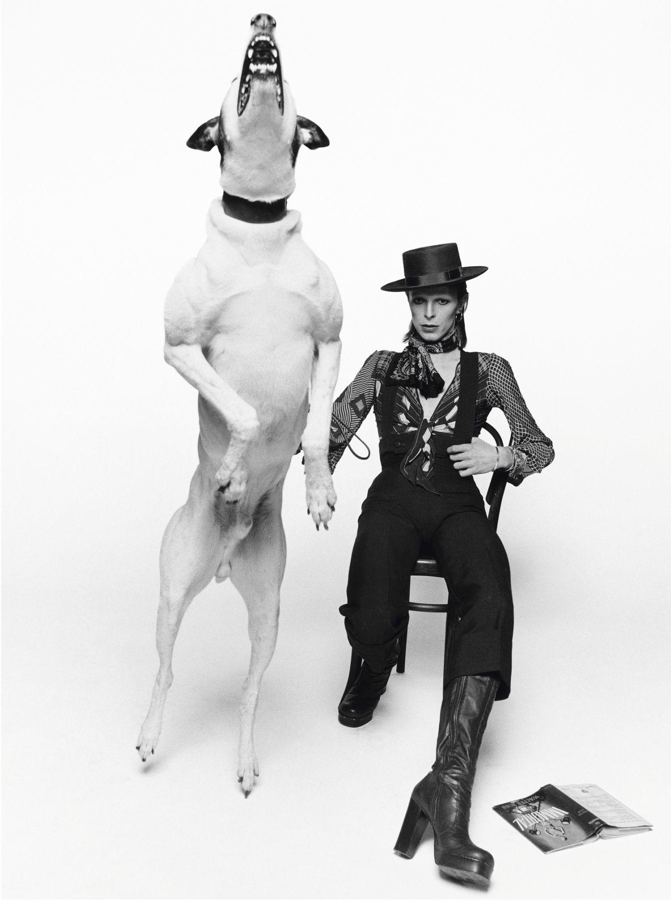 Terry O'Neill Black and White Photograph – David Bowie Diamant-Hunde (Signiert)