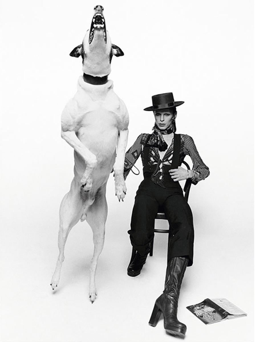 Terry O'Neill Black and White Photograph - David Bowie Diamond Dogs 1974. Rare signed silver gelatin print by Terry O’Neill