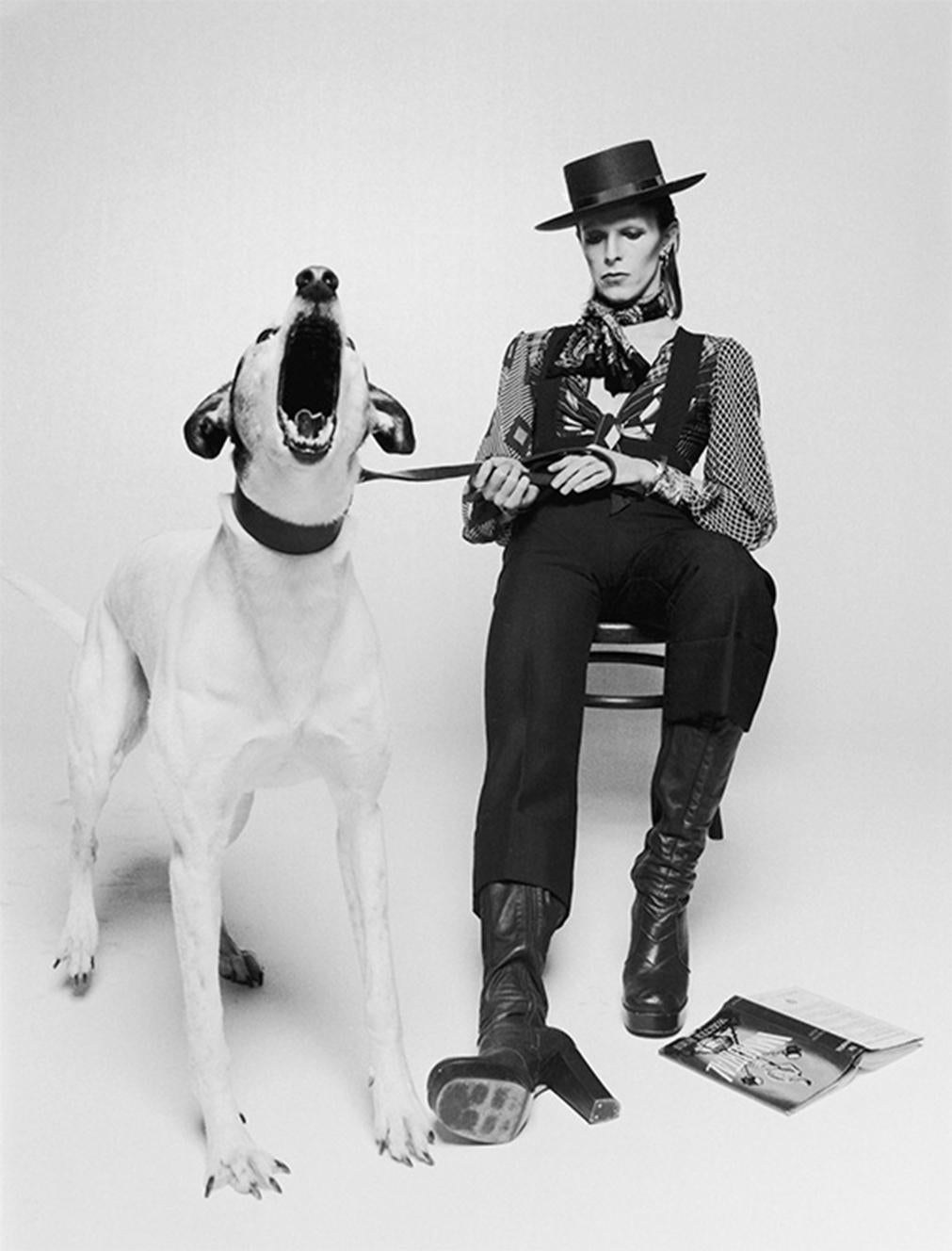 Seltener, signierter Silbergelatineabzug von David Bowie mit einem großen bellenden Hund für Werbeaufnahmen für sein Album "Diamond Dogs" 1974 in London.

12x16" Silbergelatine-Dunkelkammerdruck, signiert und nummeriert von Terry O'Neill  - 