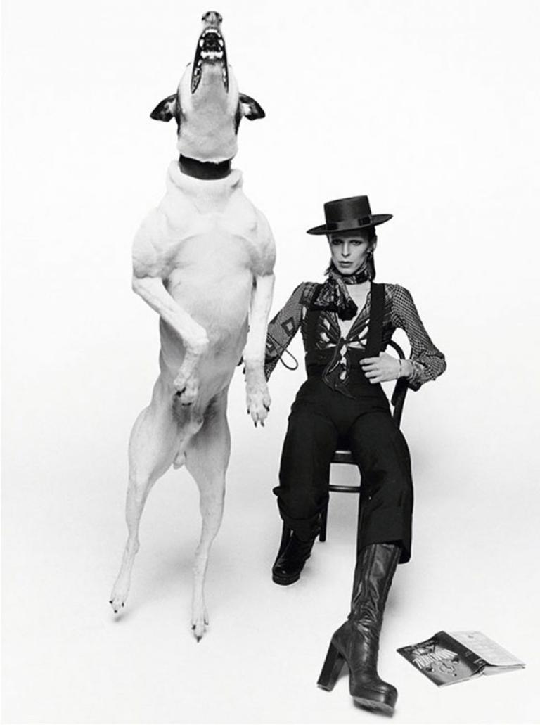 Terry O'Neill Portrait Photograph - David Bowie Diamond Dogs - signed limited edition print 