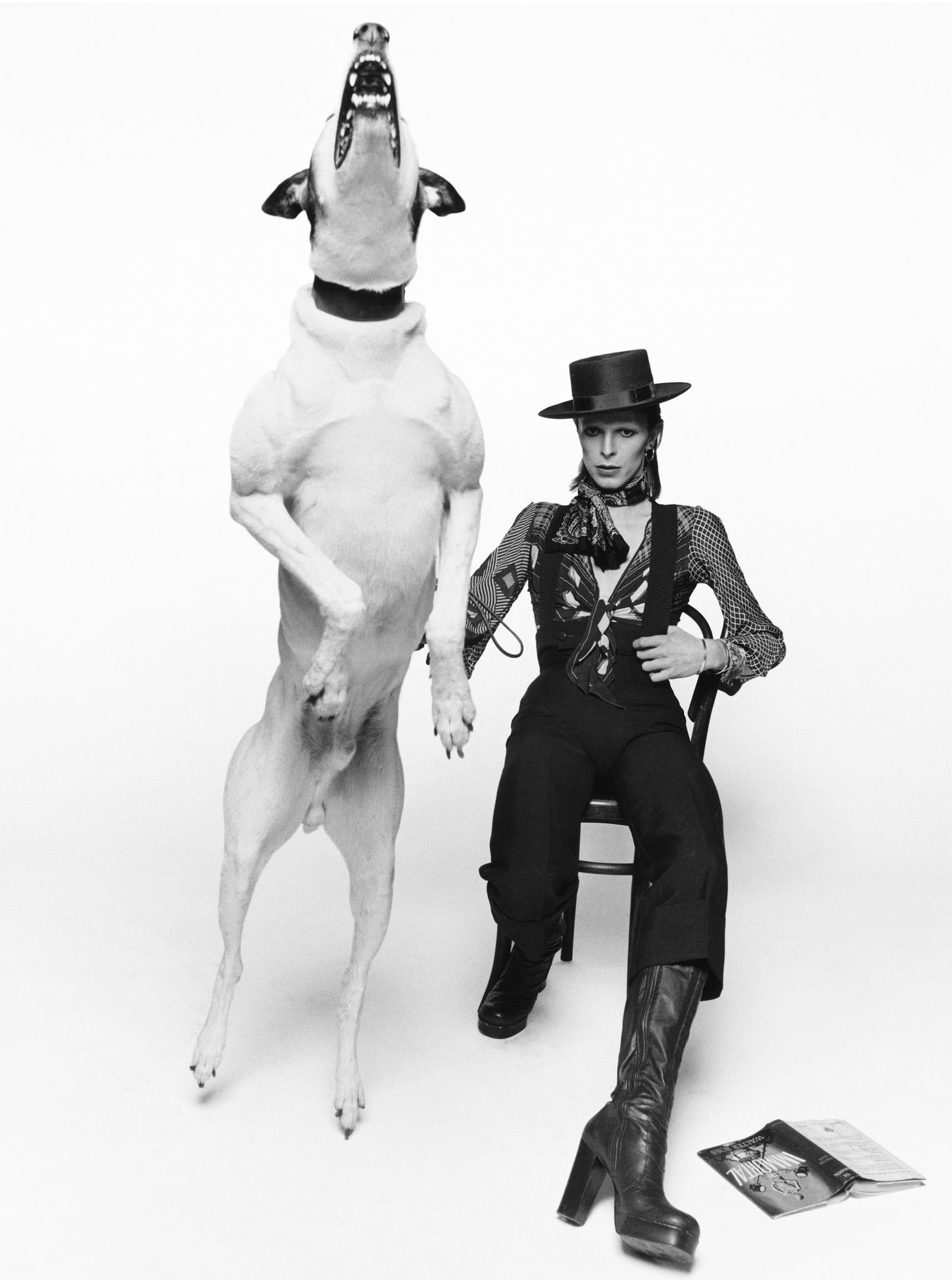 David Bowie bei der Arbeit an dem Albumcover für Diamond Dogs, London - Terry O'Neill
Signiert und nummeriert
Silber-Gelatine-Druck
16 x 12 Zoll - £6,000
34 x 24 Zoll - £18.000
40 x 30 Zoll - £24.000
Ab einer Auflage von 50 + 10 APs

Terry O'Neill