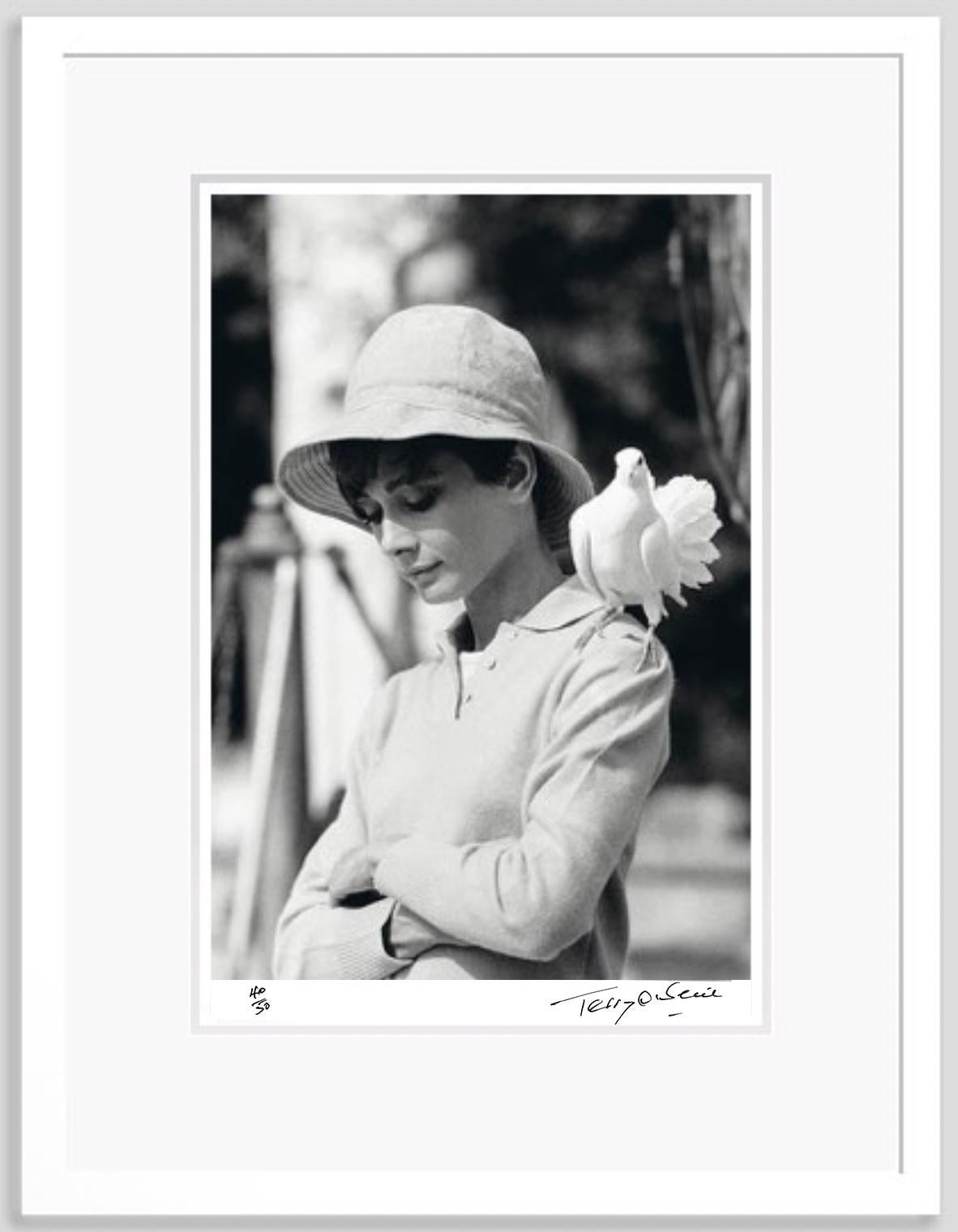 Audrey Hepburn con una paloma 1966 Edición limitada firmada Impresión enmarcada - Photograph de Terry O'Neill