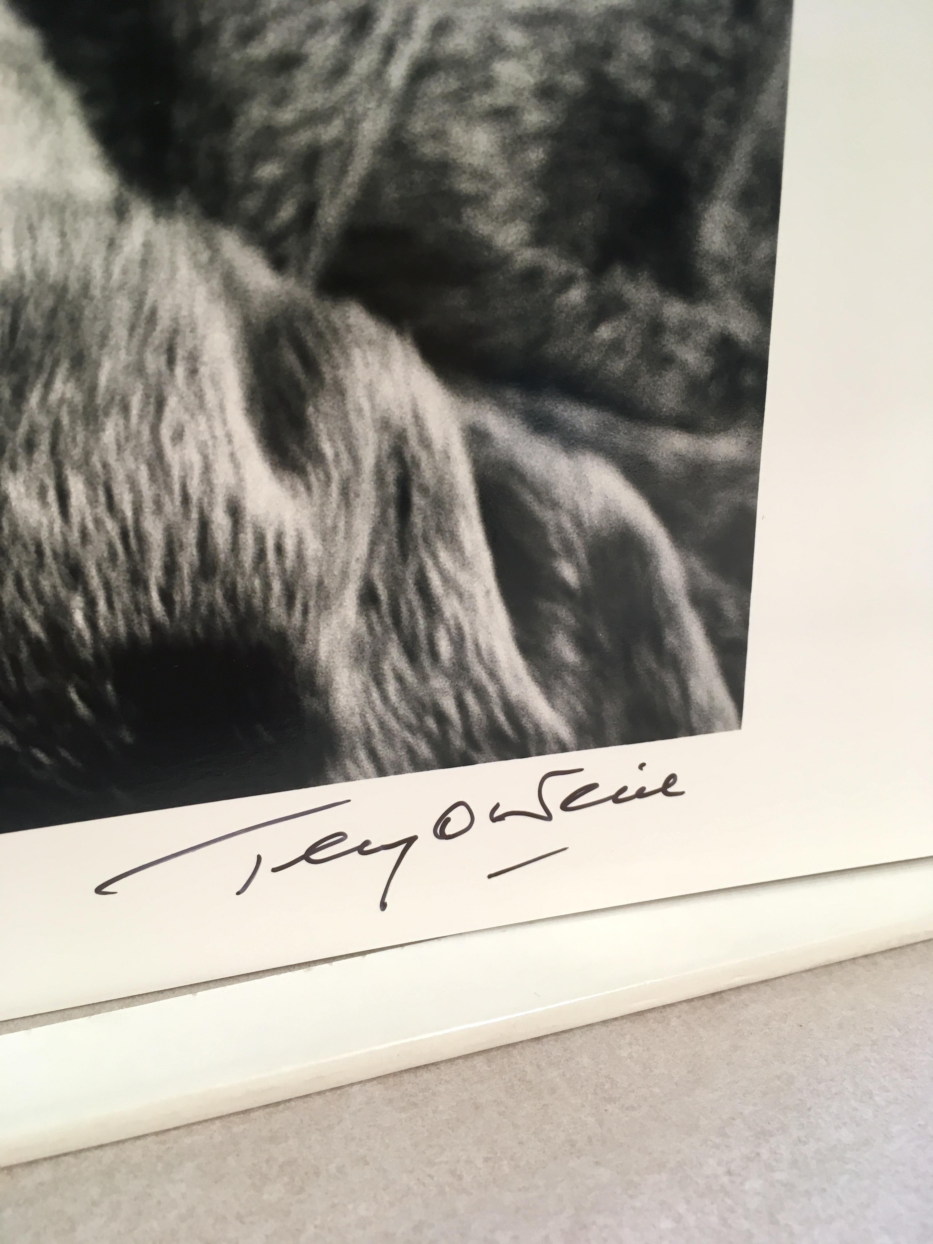 Mick Jagger Parka von Terry O'Neill, signierter Probedruck in limitierter Auflage von Künstler im Angebot 2