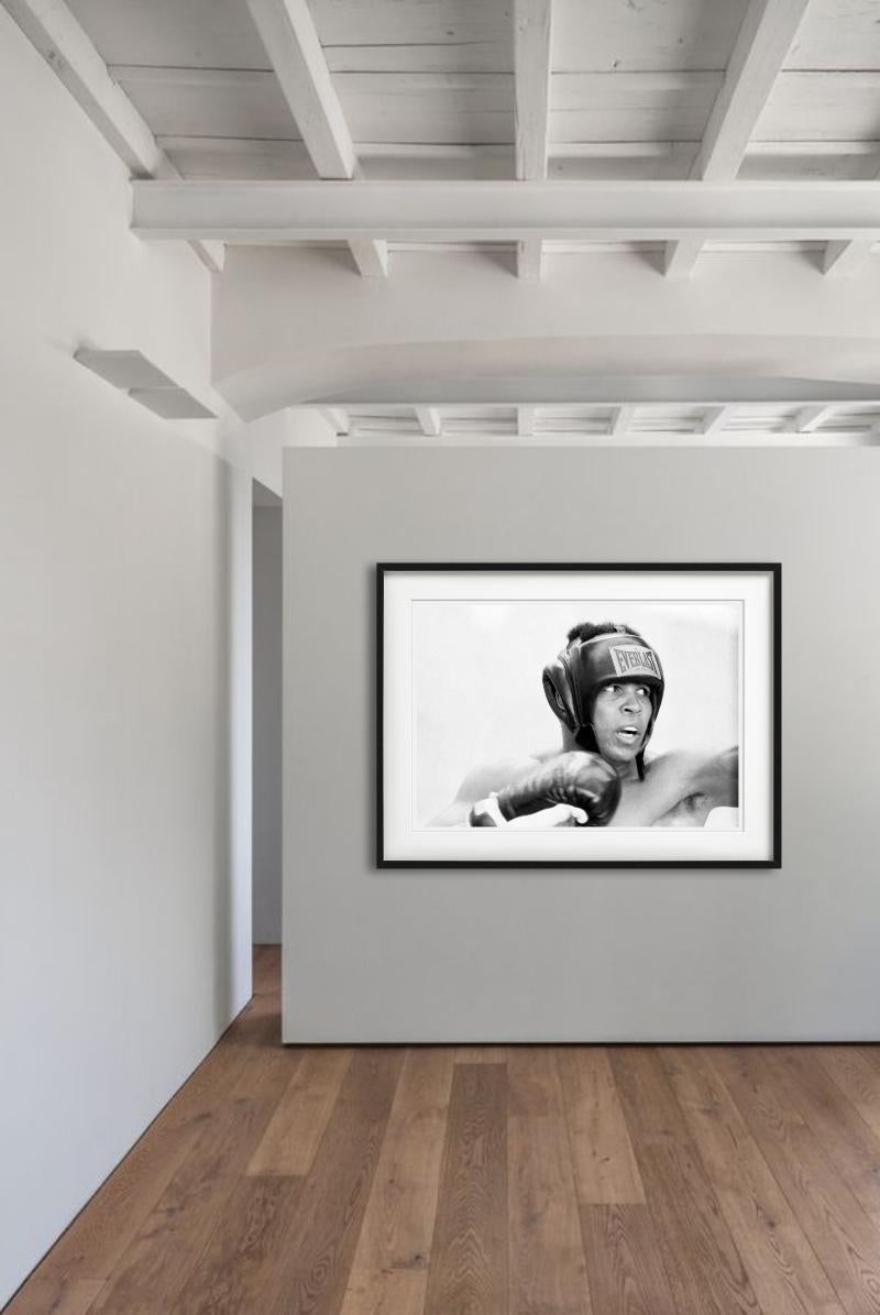 Muhammad Ali - Closeup Portrait while Boxing, Fine Art Photography - Gray Color Photograph by Terry O'Neill