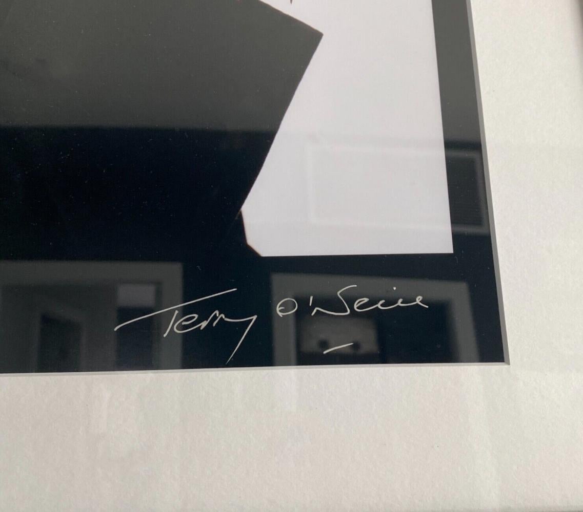 James Bond Goldeneye von Pierce Brosnan (Zeitgenössisch), Photograph, von Terry O'Neill