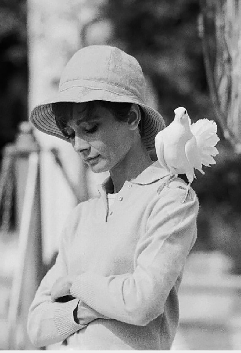 Audrey Hepburn Dove, 1967, Printed Later
Silver gelatin print
72 x 48 inches
Estate signature stamped and numbered edition of 50
with certificate of authenticity

Terry O'Neill CBE (born 1938-2019; London, UK) is an English photographer. He gained