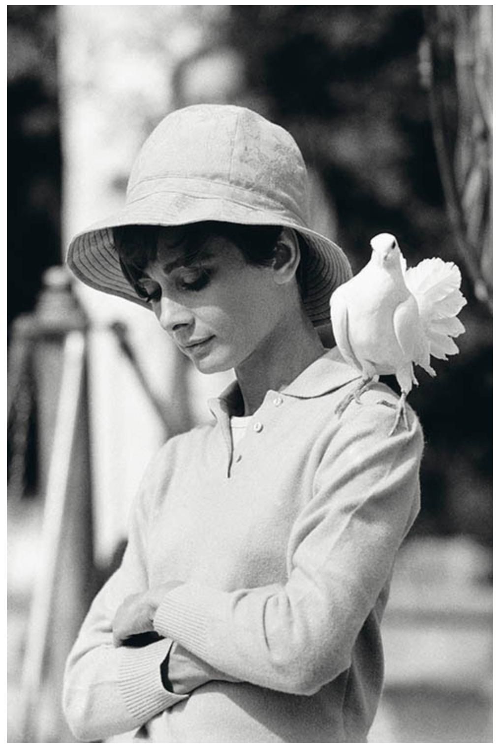 Terry O'Neill - Audrey Hepburn With Dove - signed limited edition