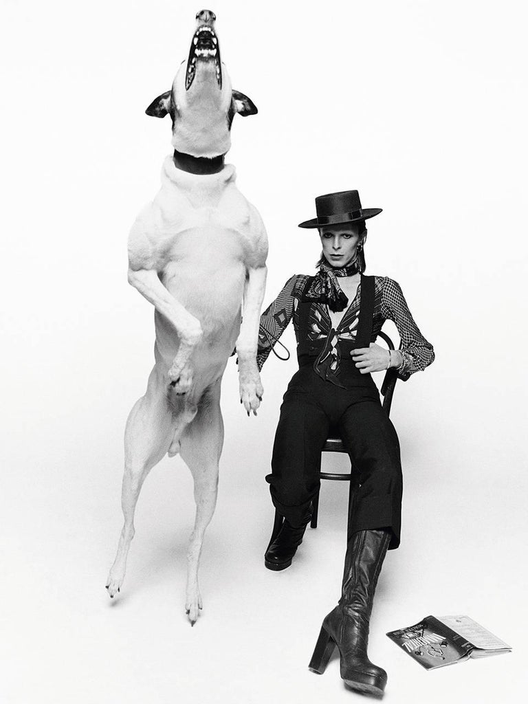 David Bowie, Diamond Dogs, London 1974, printed later
Silver Gelatin Print
34 x 24 inches (unframed)
Signed and numbered edition of 50
with certificate of authenticity

Terry O'Neill (1938-2019) is an English photographer. He gained renown