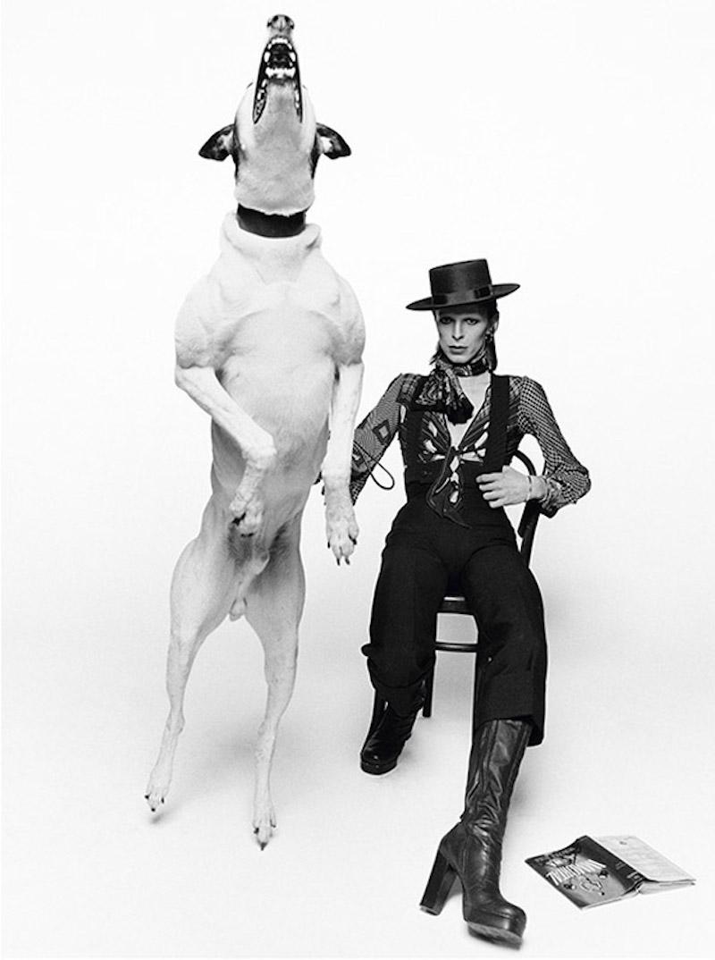 Terry O'Neill - David Bowie with Jumping Dog, Photography 1974, Printed After
