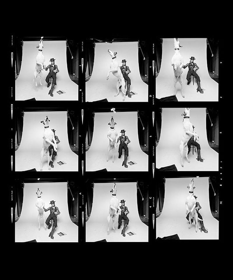 David Bowie Diamond Dogs Contact Sheet, 1974 Signed Edition - Print by Terry O'Neill