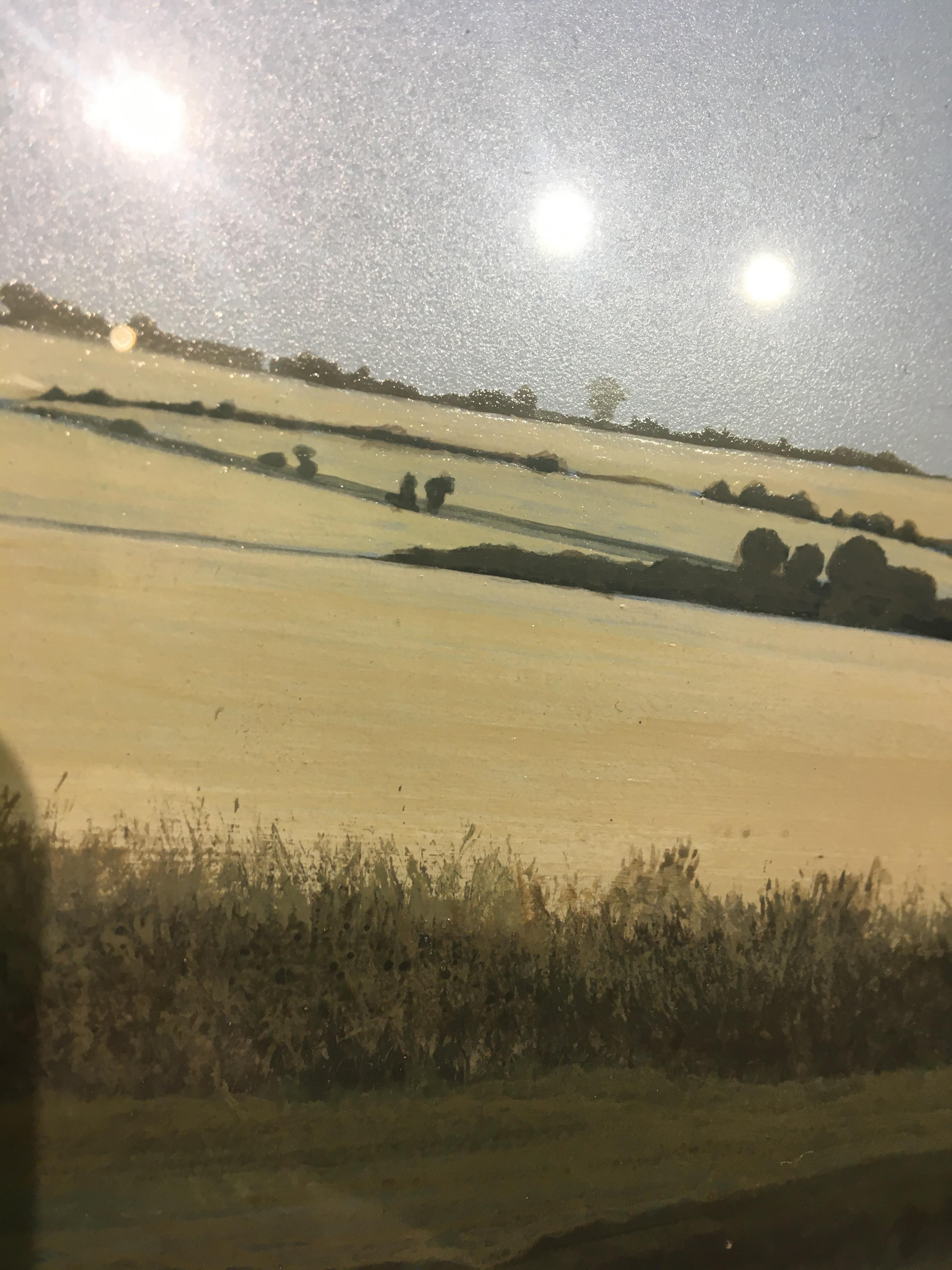 Verge -contemporary photorealistic landscape acrylic sunny field painting framed - Contemporary Painting by Terry Watts