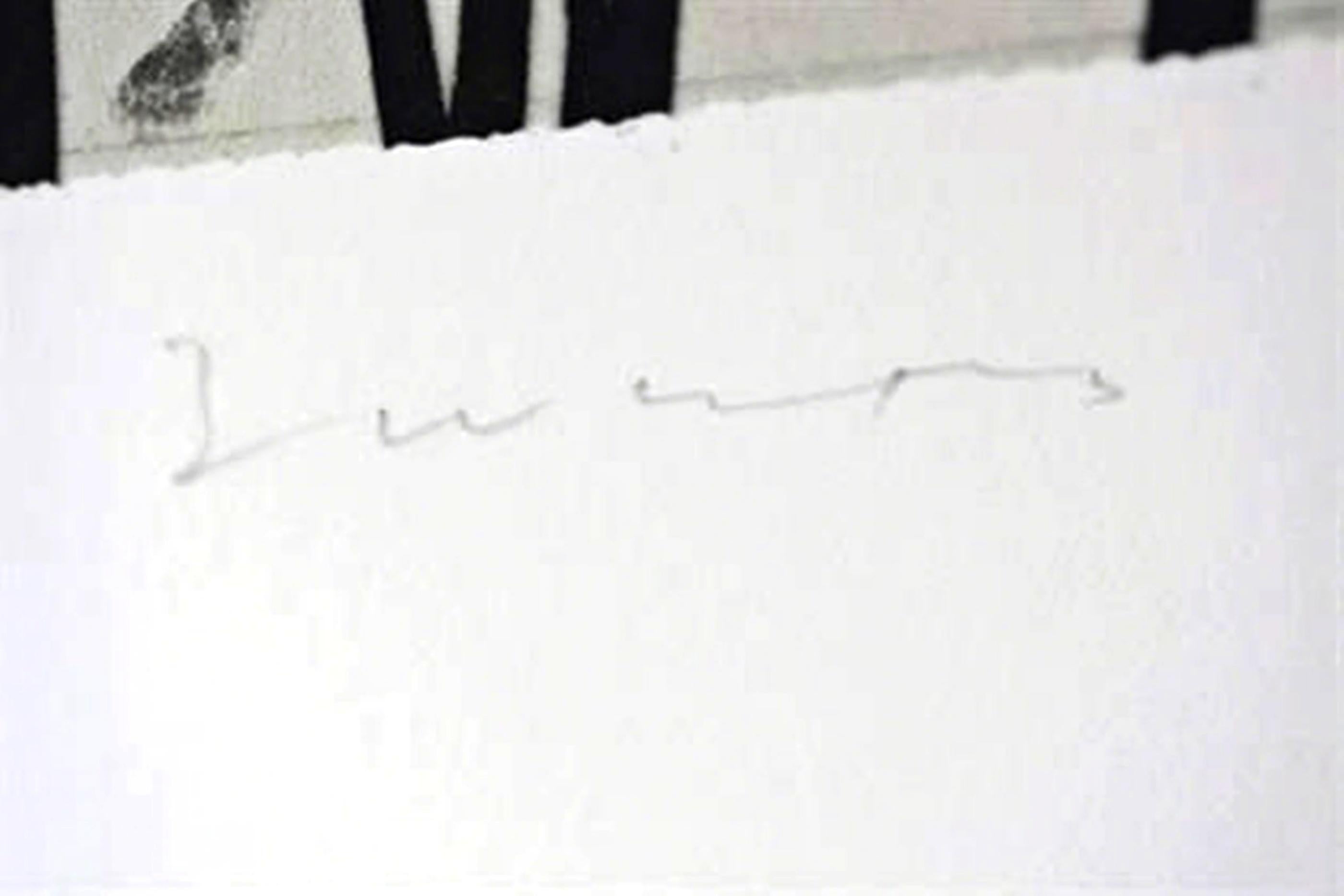 Stampa firmata in edizione limitata per Medici del Mondo - Medecins Sans Frontieres - Print Astratto di Terry Winters