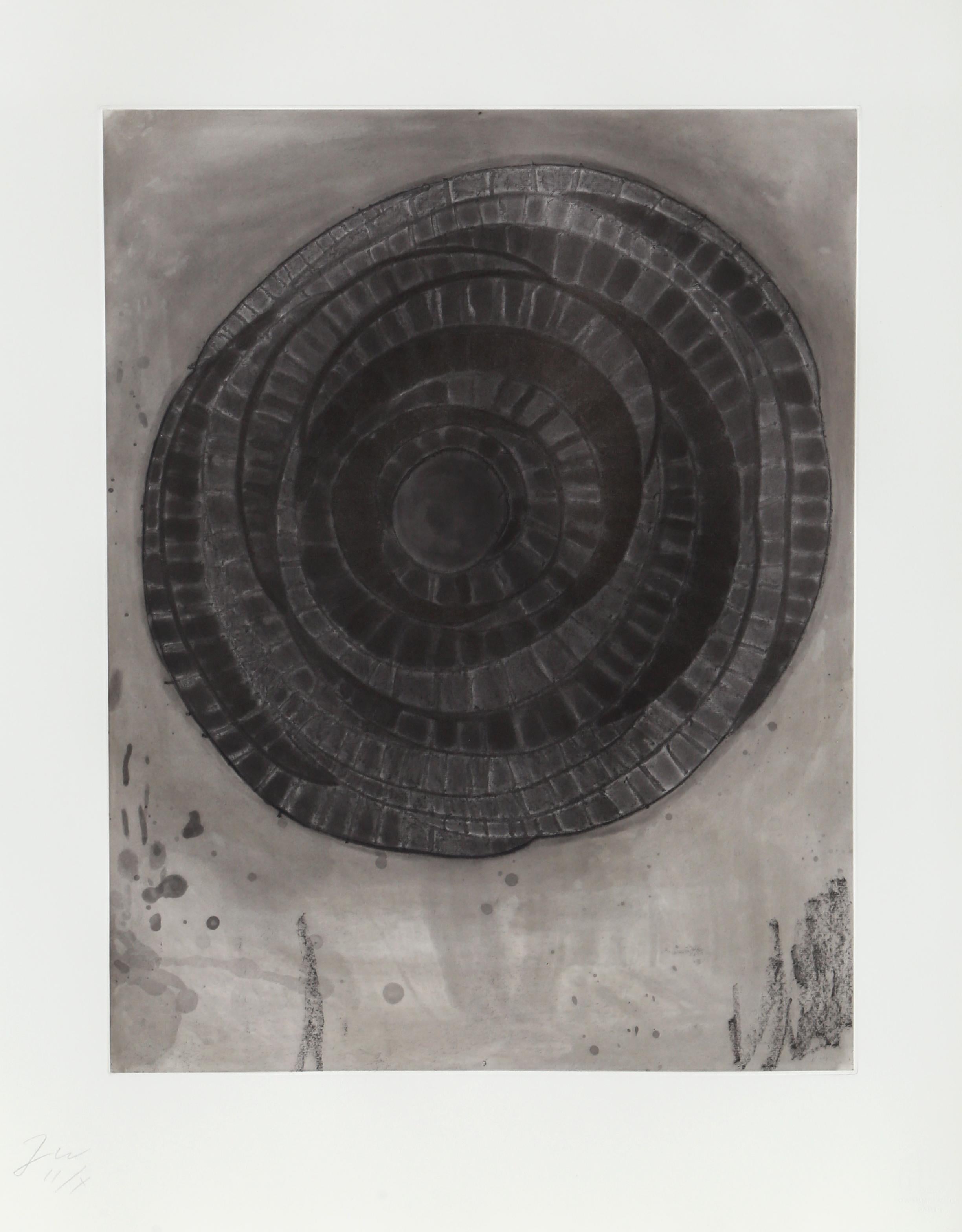 Artist: Terry Winters, American (1949 - )
Title: untitled 1 from Album
Year: 1988
Medium: Etching with Aquatint, signed and numbered in pencil
Edition: HC 2/2
Image: 20 x 16 inches
Size: 26.5  x 21 in. (67.31  x 53.34 cm)