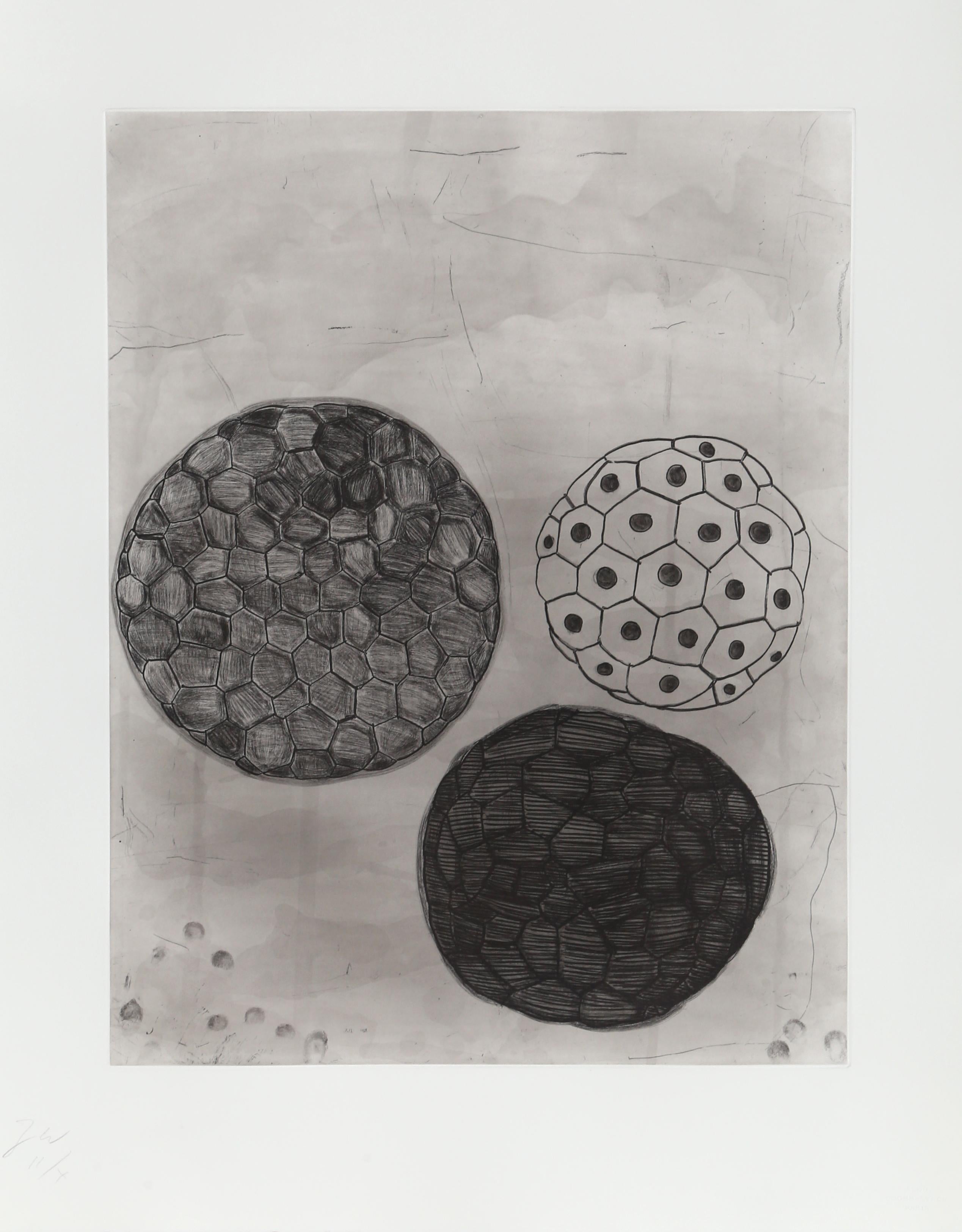 untitled 5 from Album, Etching by Terry Winters