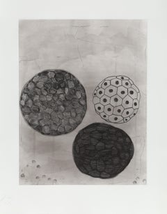 untitled 5 from Album, Etching by Terry Winters