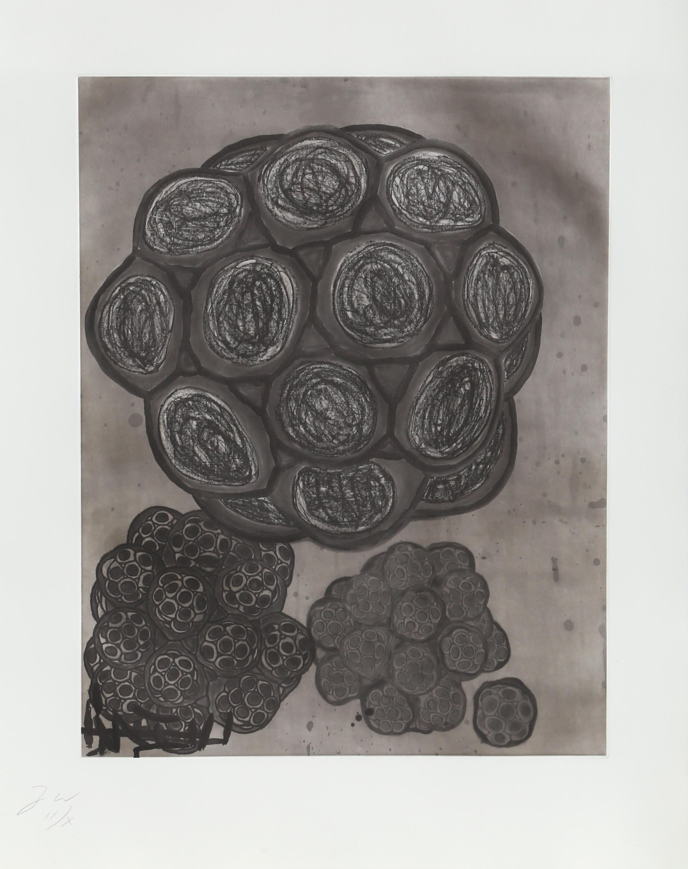Artist: Terry Winters, American (1949 - )
Title: untitled 6 from Album
Year: 1988
Medium: Etching with Aquatint, signed and numbered in pencil
Edition: HC 2/2
Image: 20 x 16 inches
Size: 26.5  x 21 in. (67.31  x 53.34 cm)