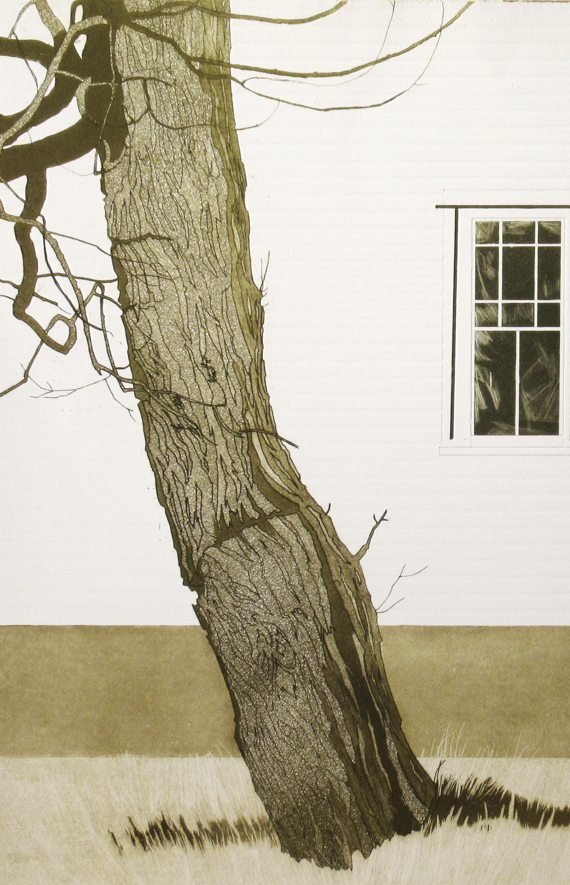 New England Locust Tree - Print by Tessa Beaver