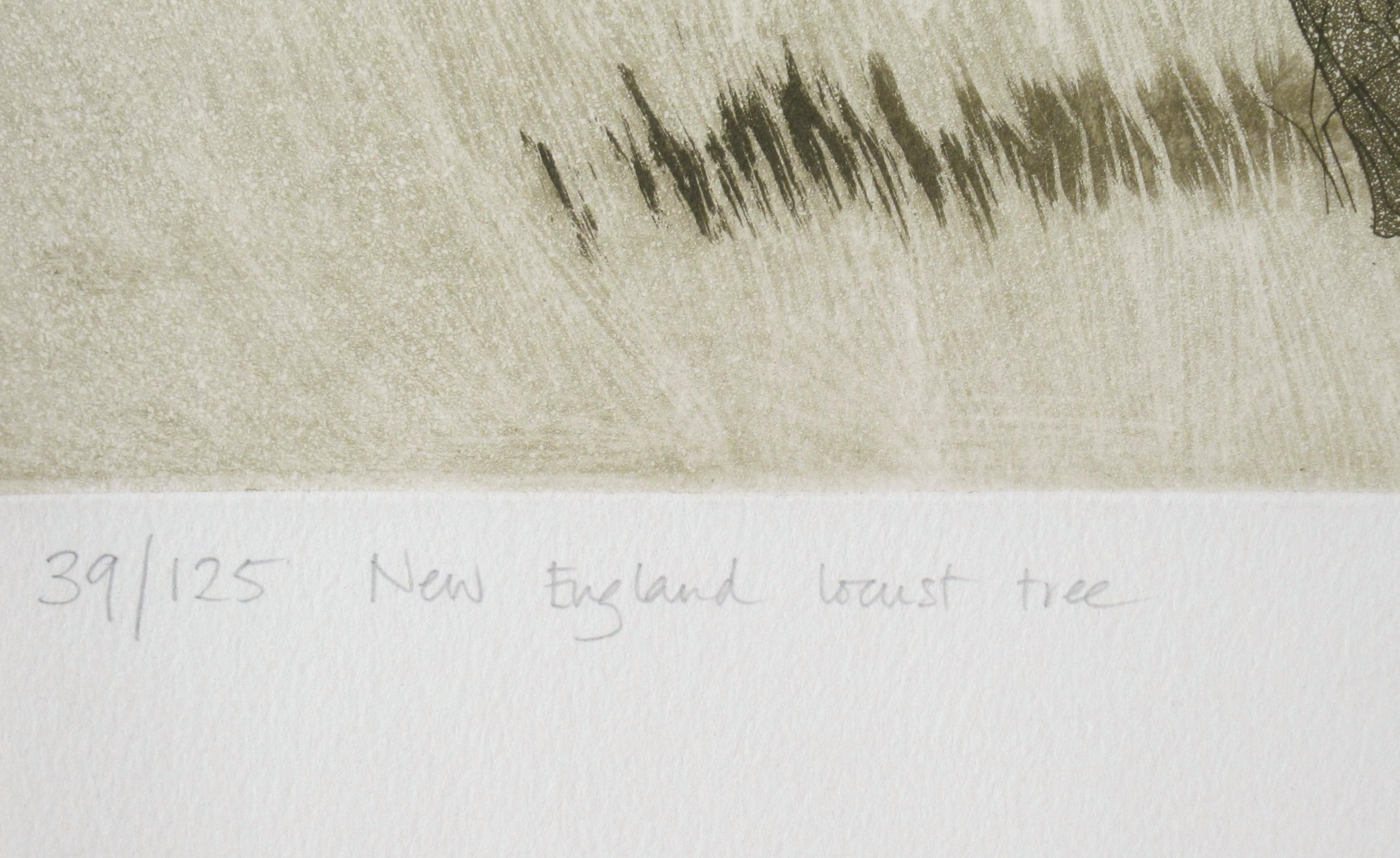 New England Locust Tree - Modern Print by Tessa Beaver