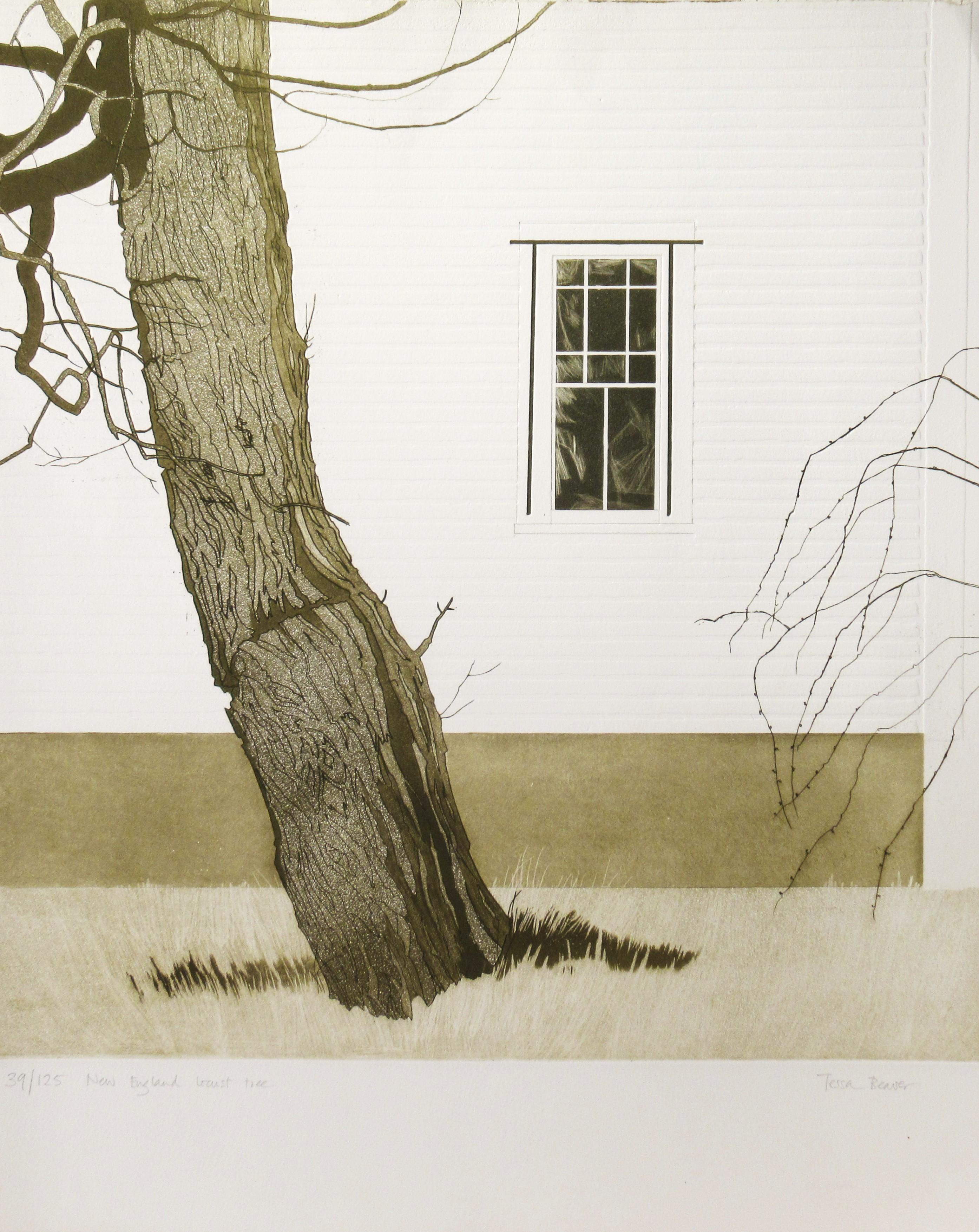 Tessa Beaver Figurative Print - New England Locust Tree