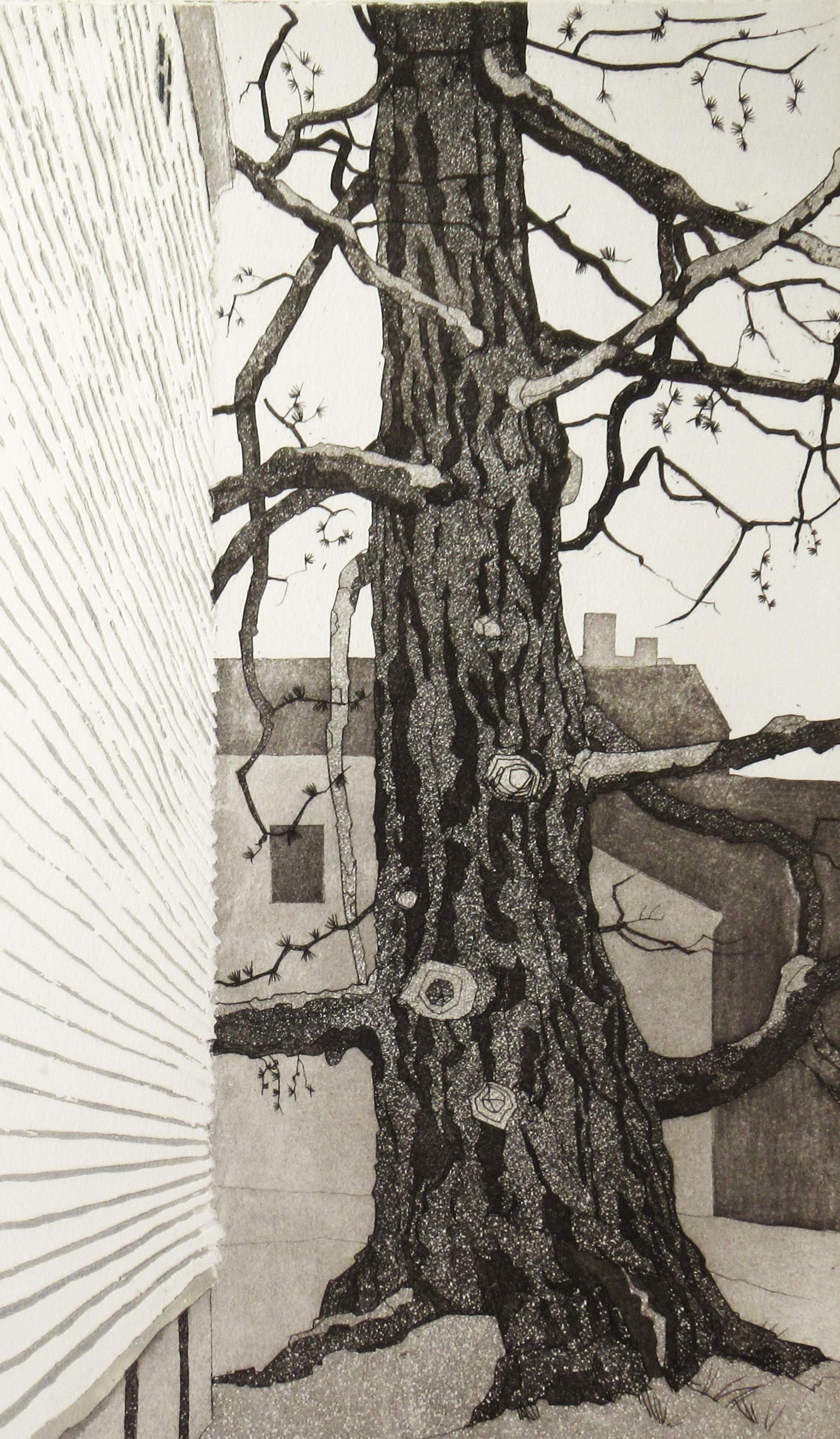 Tamarack aus Neuengland (Moderne), Print, von Tessa Beaver