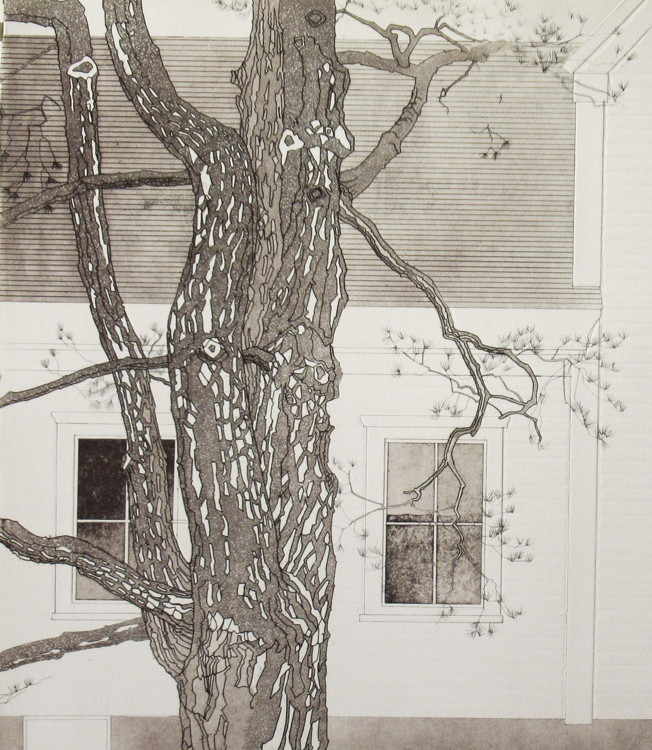 White Pine - Print by Tessa Beaver