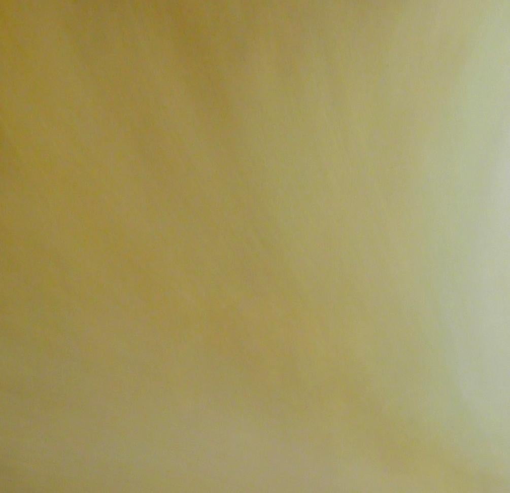 Houghton creates dreamlike ethereal landscapes that are infused with light, texture, and infinite possibilities. Expansive vistas with blurred horizons, feature pathways and journeys with unknown destinations.

Inspired by nature with its inherent