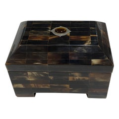 Tessellated Horn and Tigers Eye Box
