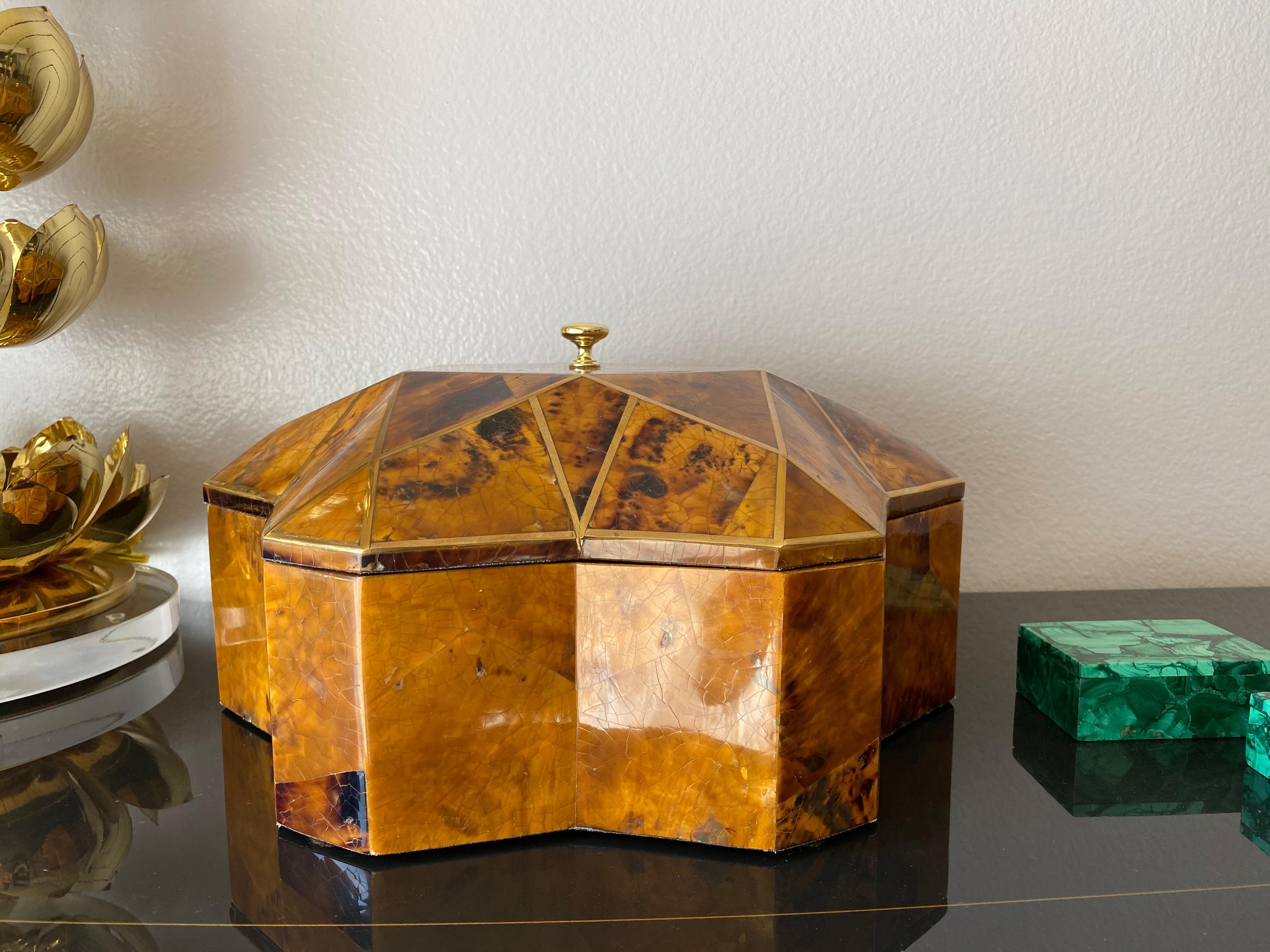 Tessellated Pen Shell and Brass Jewelry Box 4