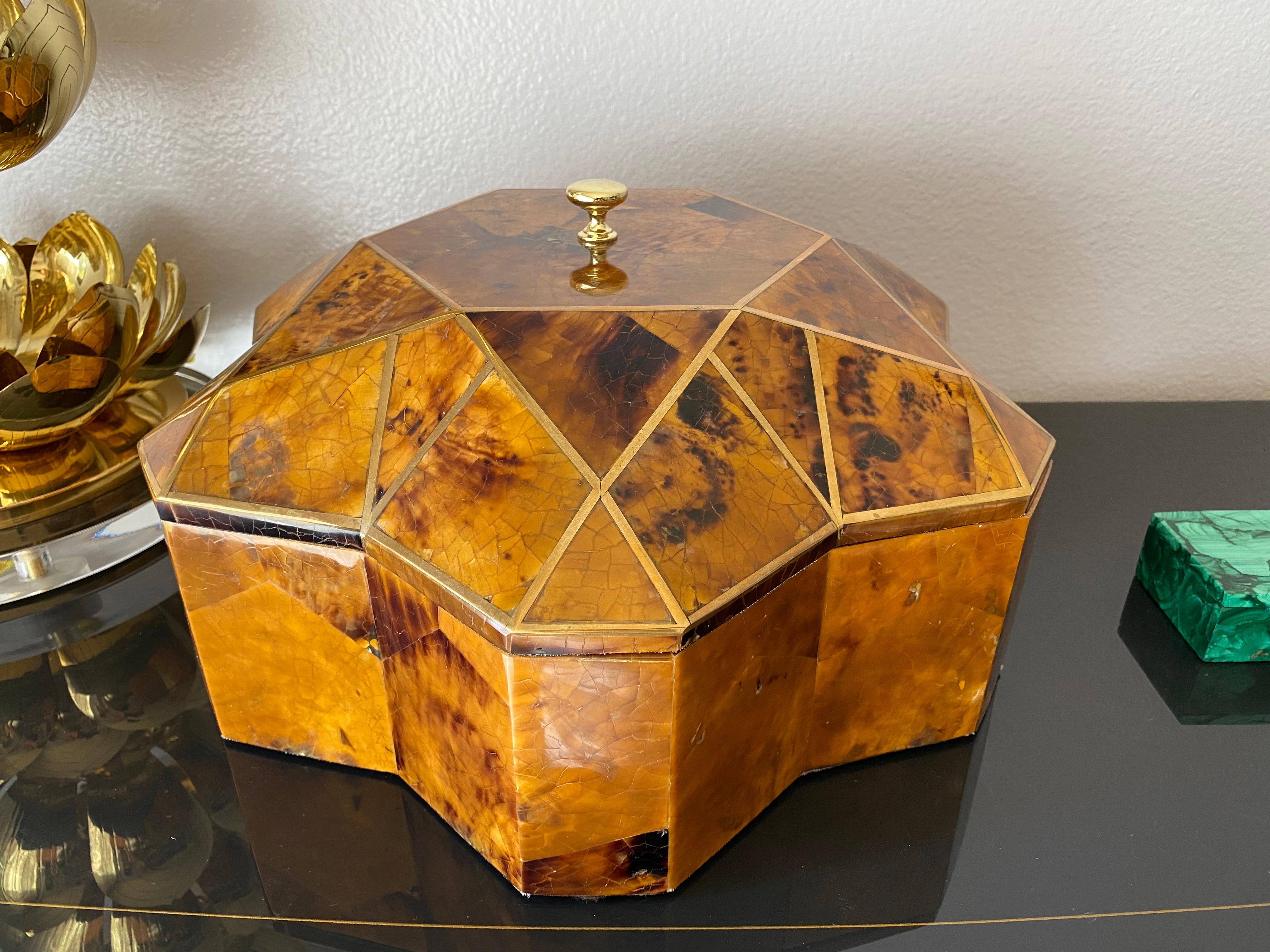 Tessellated Pen Shell and Brass Jewelry Box 5